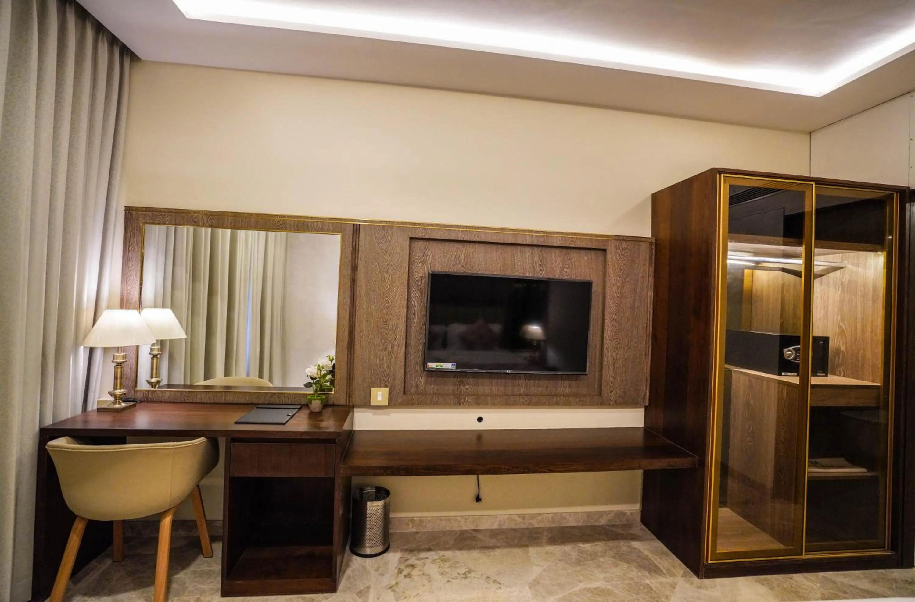 TV and multimedia in UVA MANISH