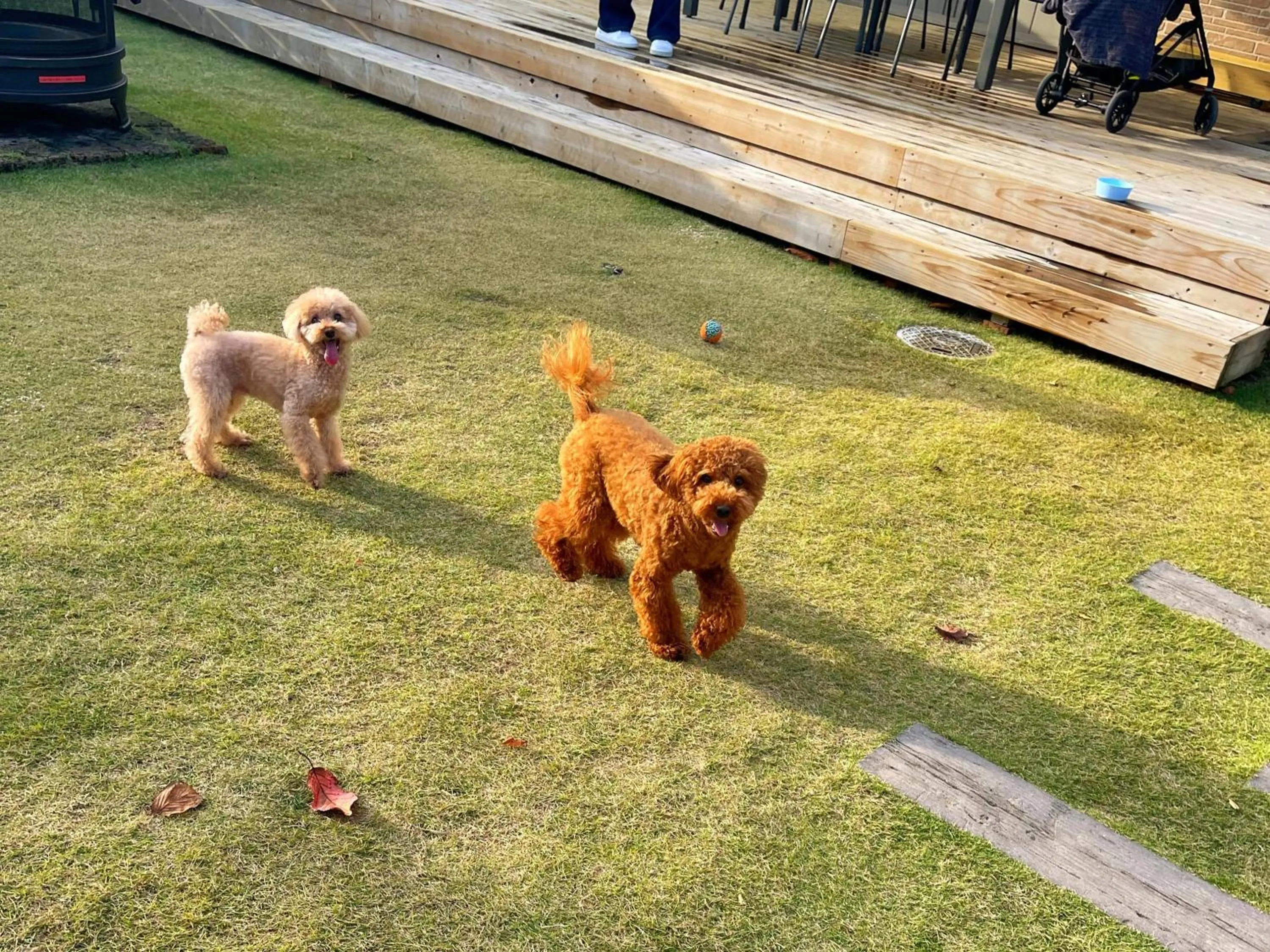 Day in Sea Front Villa