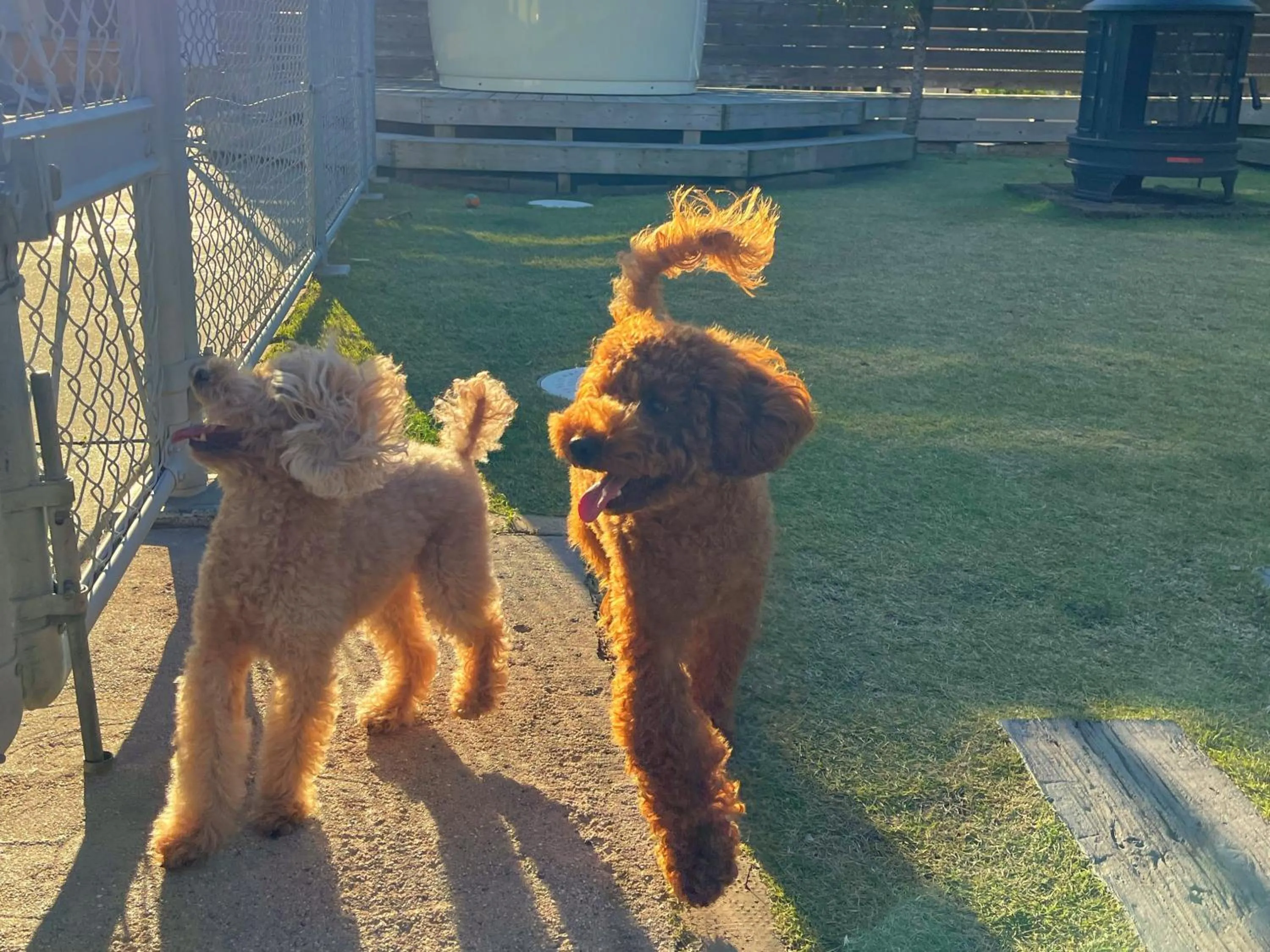 Day in Sea Front Villa