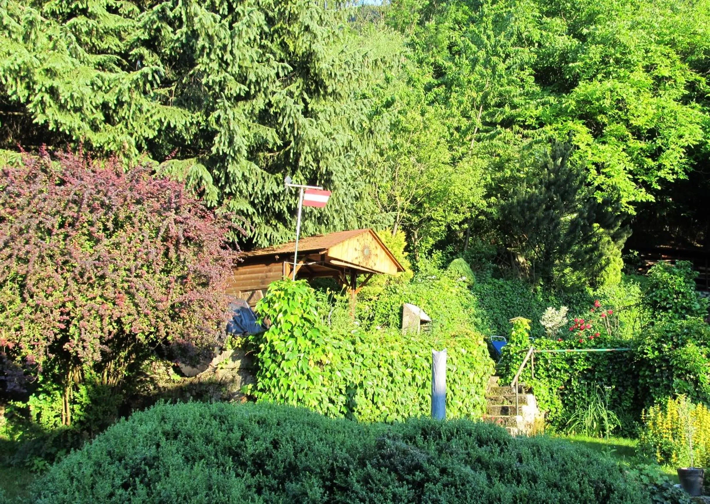 Garden in Haus Gnigl