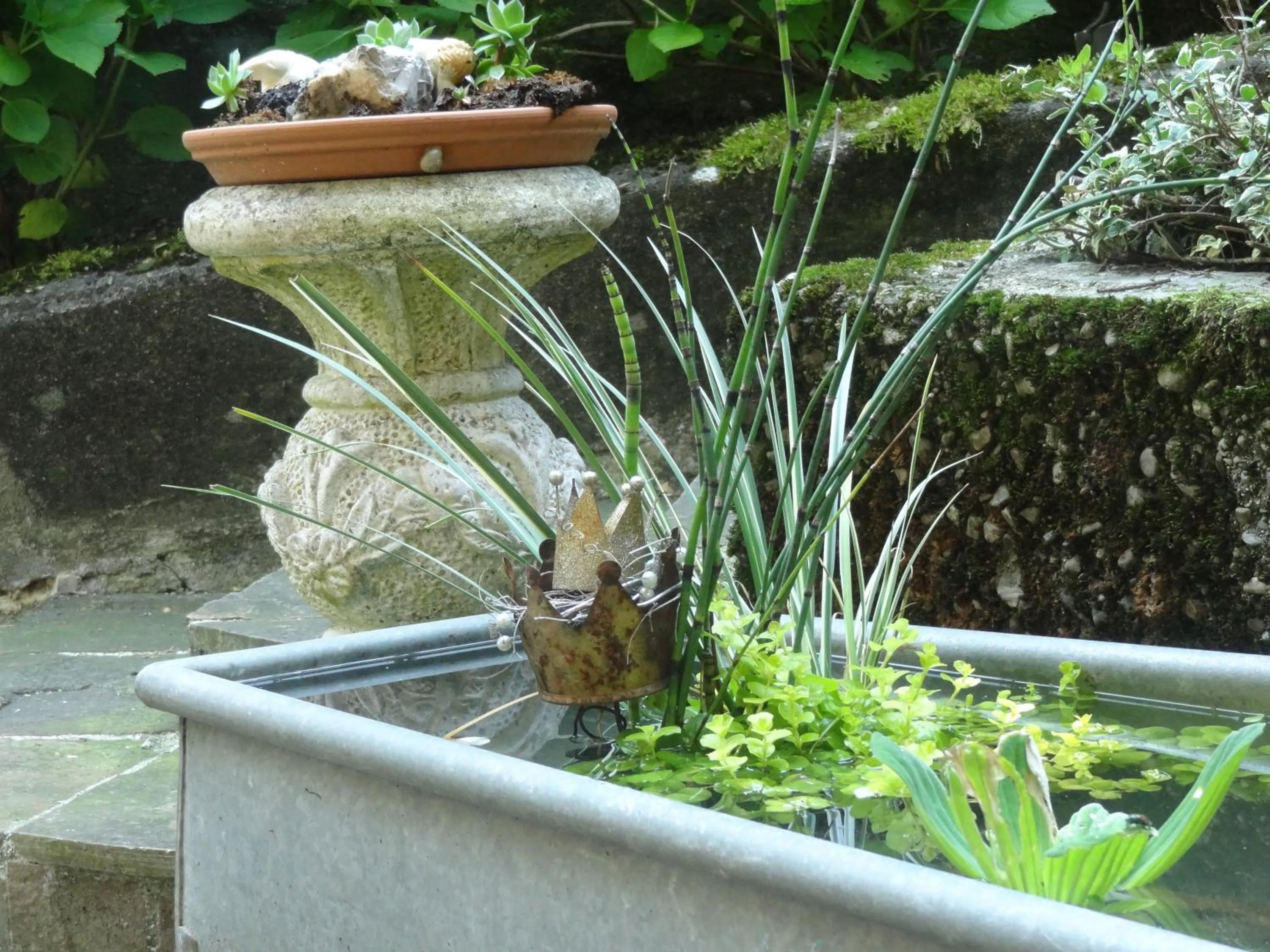 Garden in Haus Gnigl