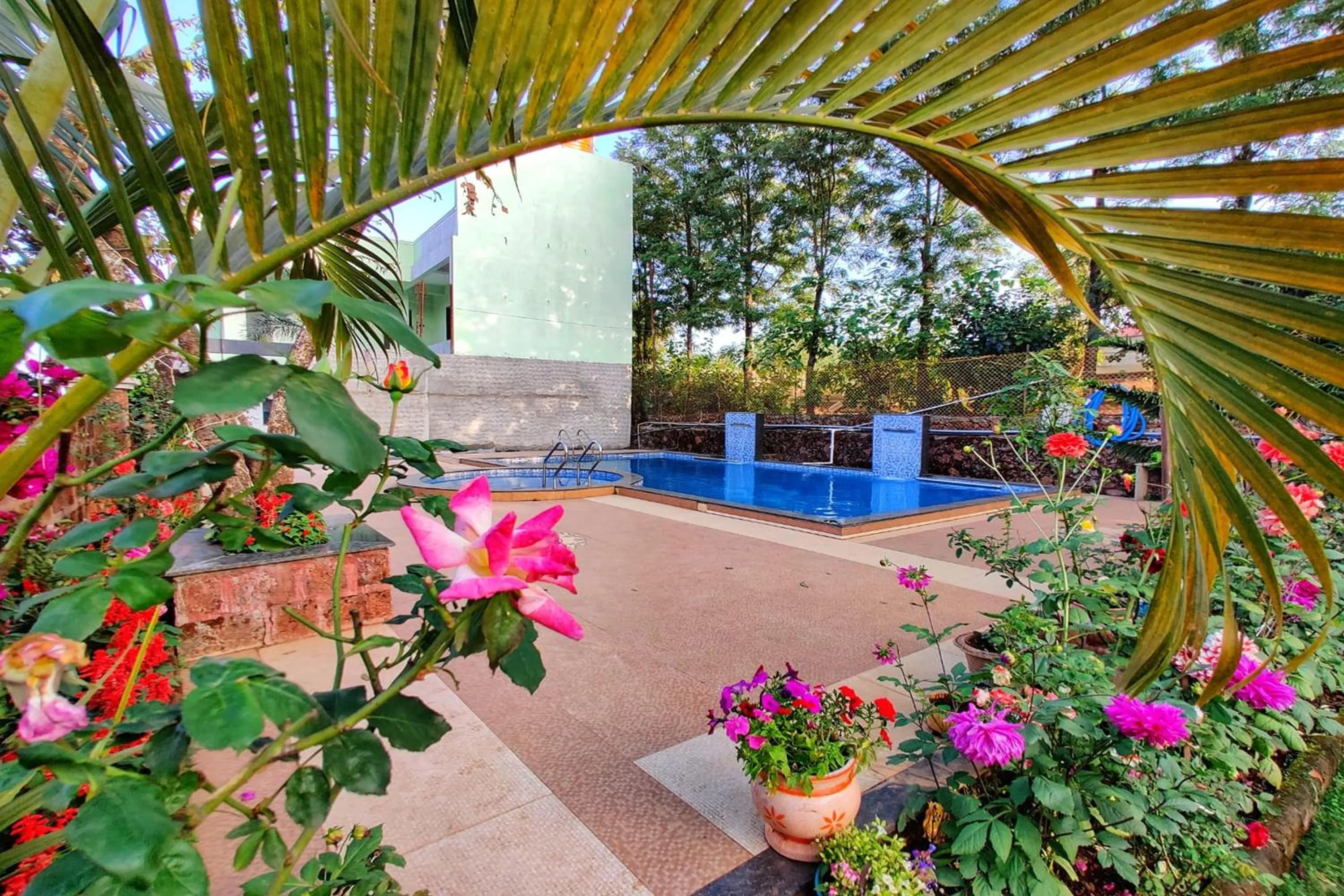 Swimming pool in Strawberry Land Resort