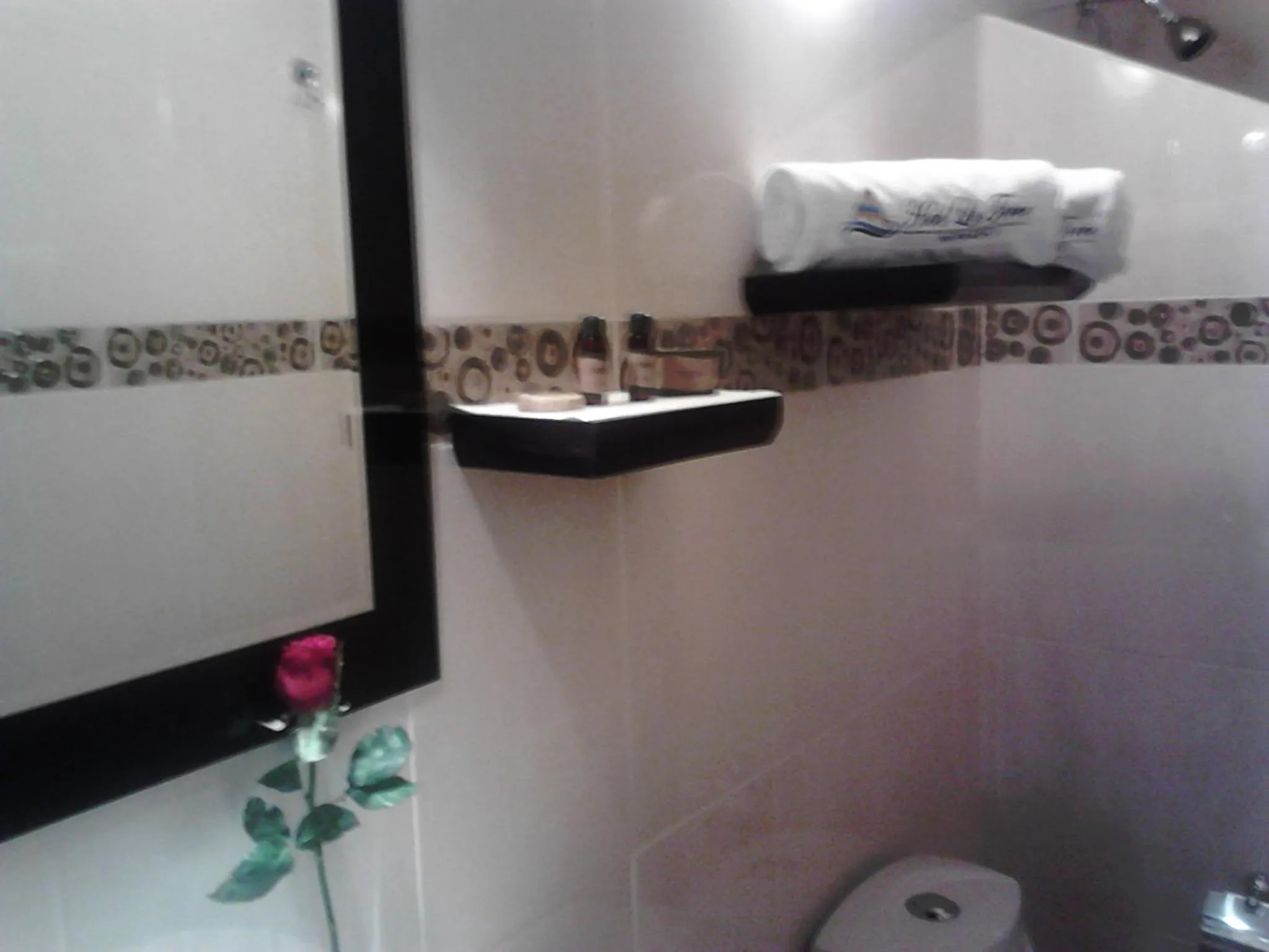 Bathroom in Hotel La Torre San Francisco