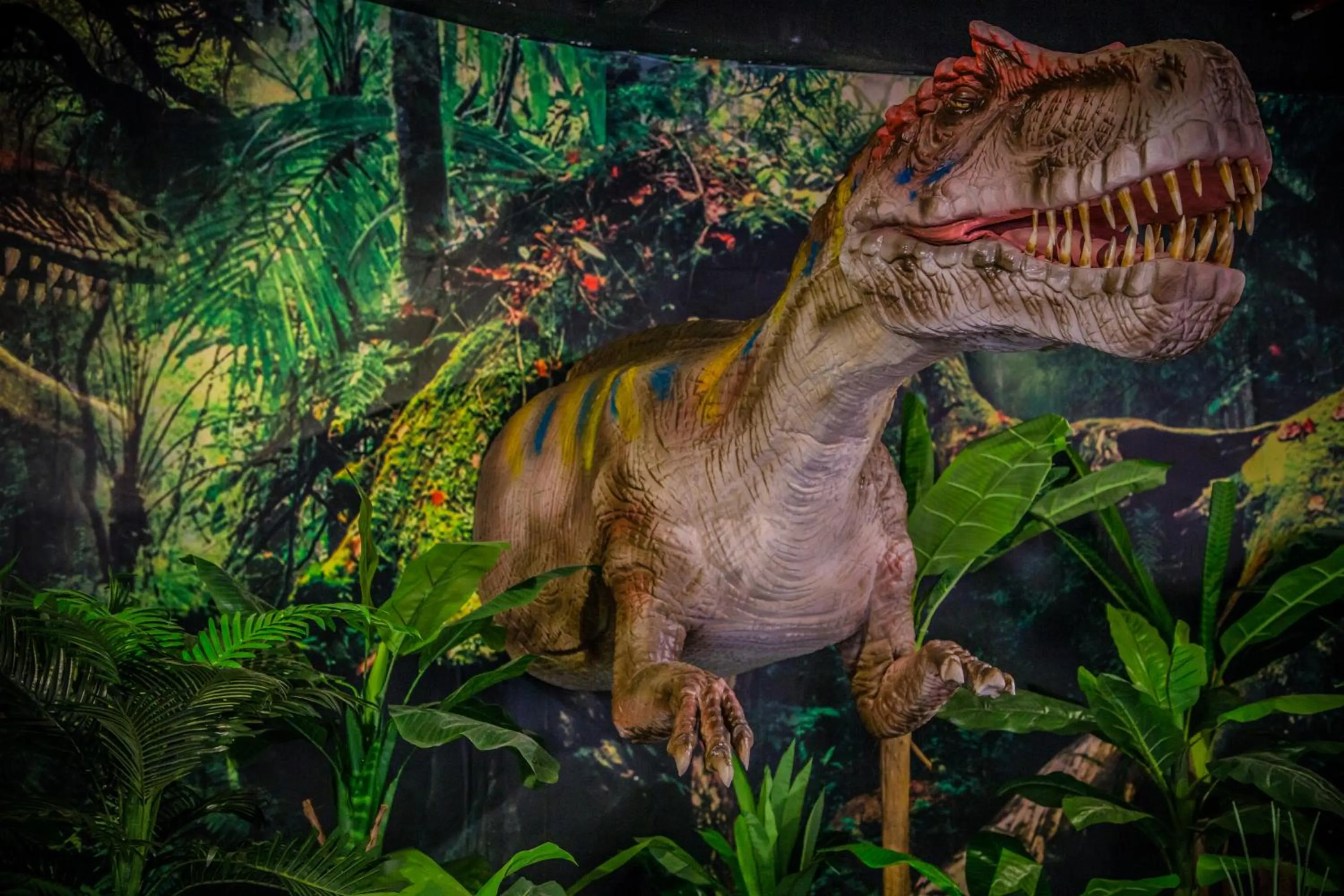 Entertainment in Nova Highlands Hotel