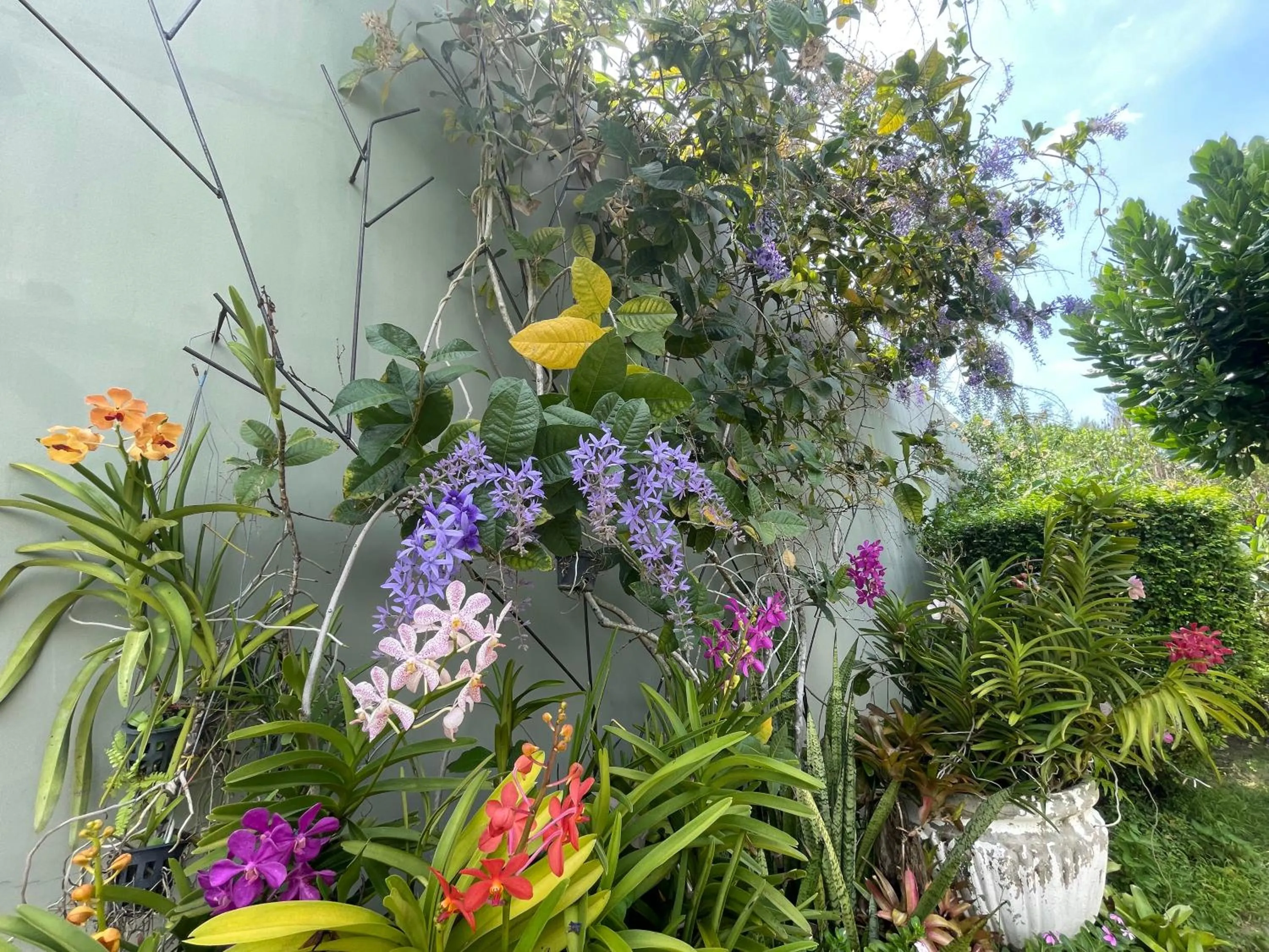 Khaolak Forest Resort