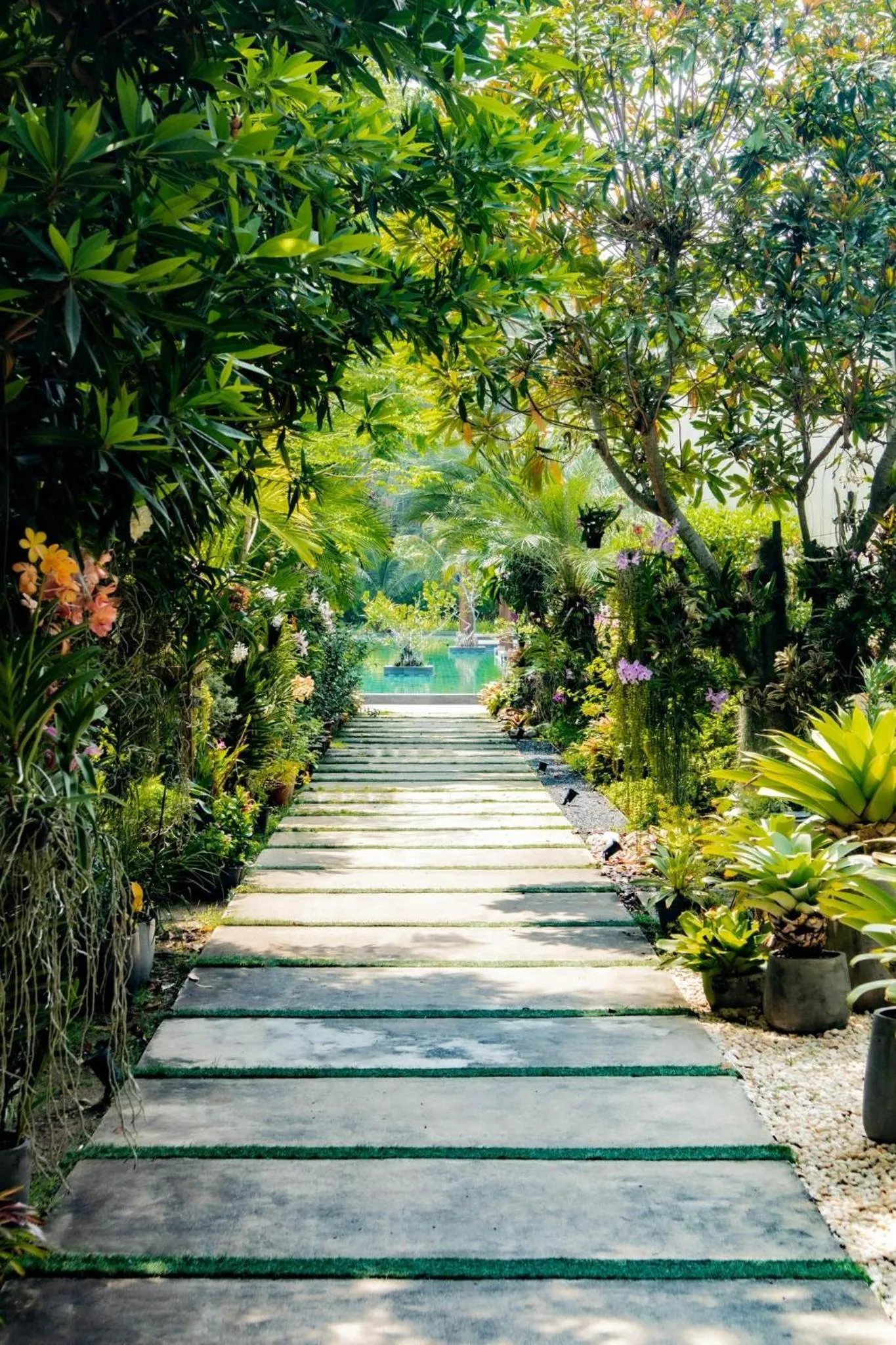 Garden view in Khaolak Forest Resort