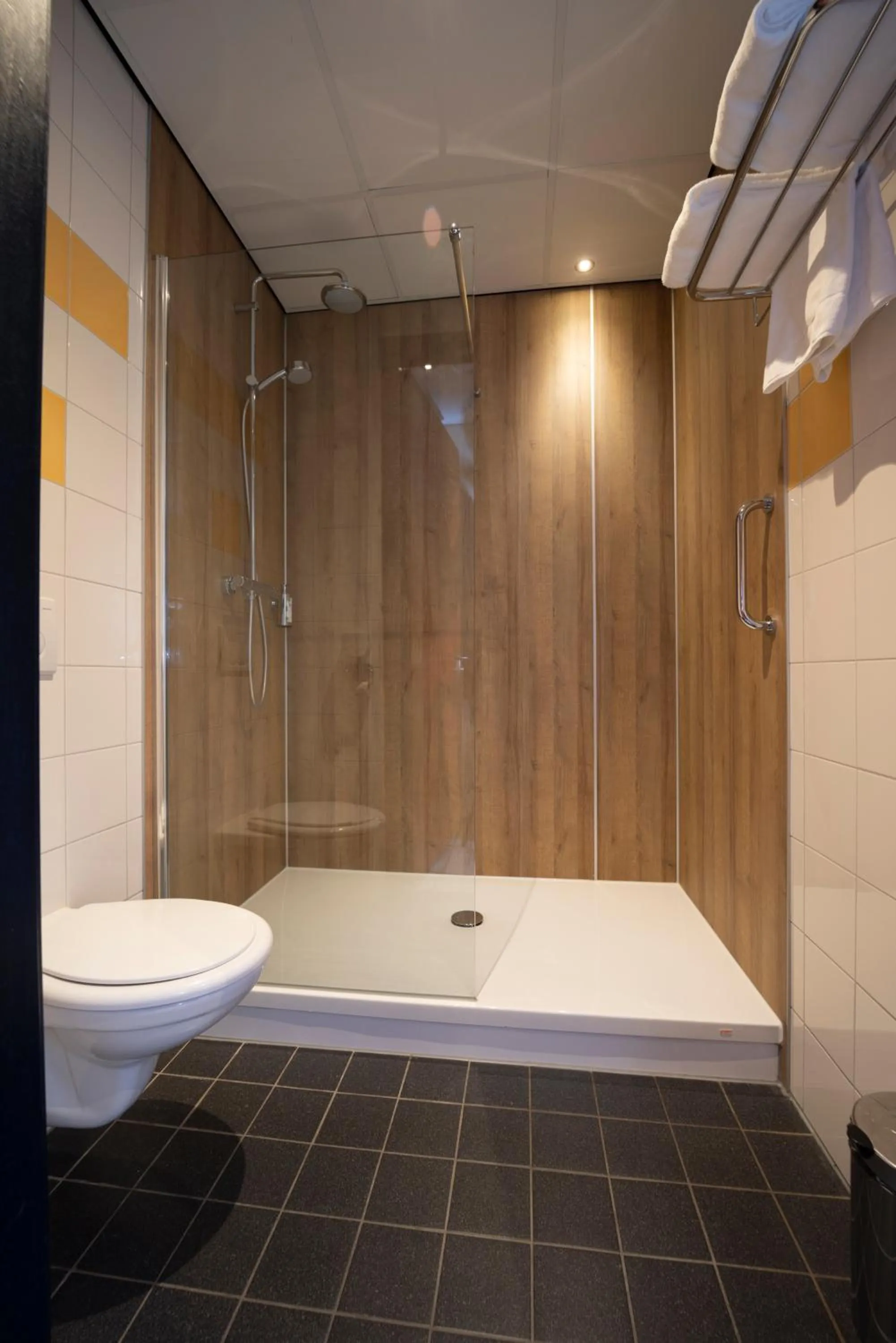 Shower in Fletcher Wellness-Hotel Brabant-Mill