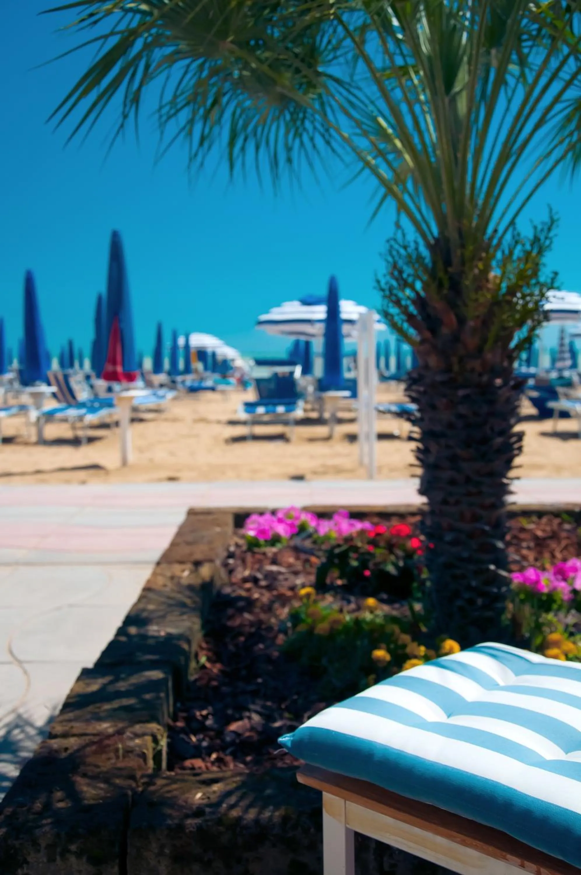 Garden in Hotel Telenia