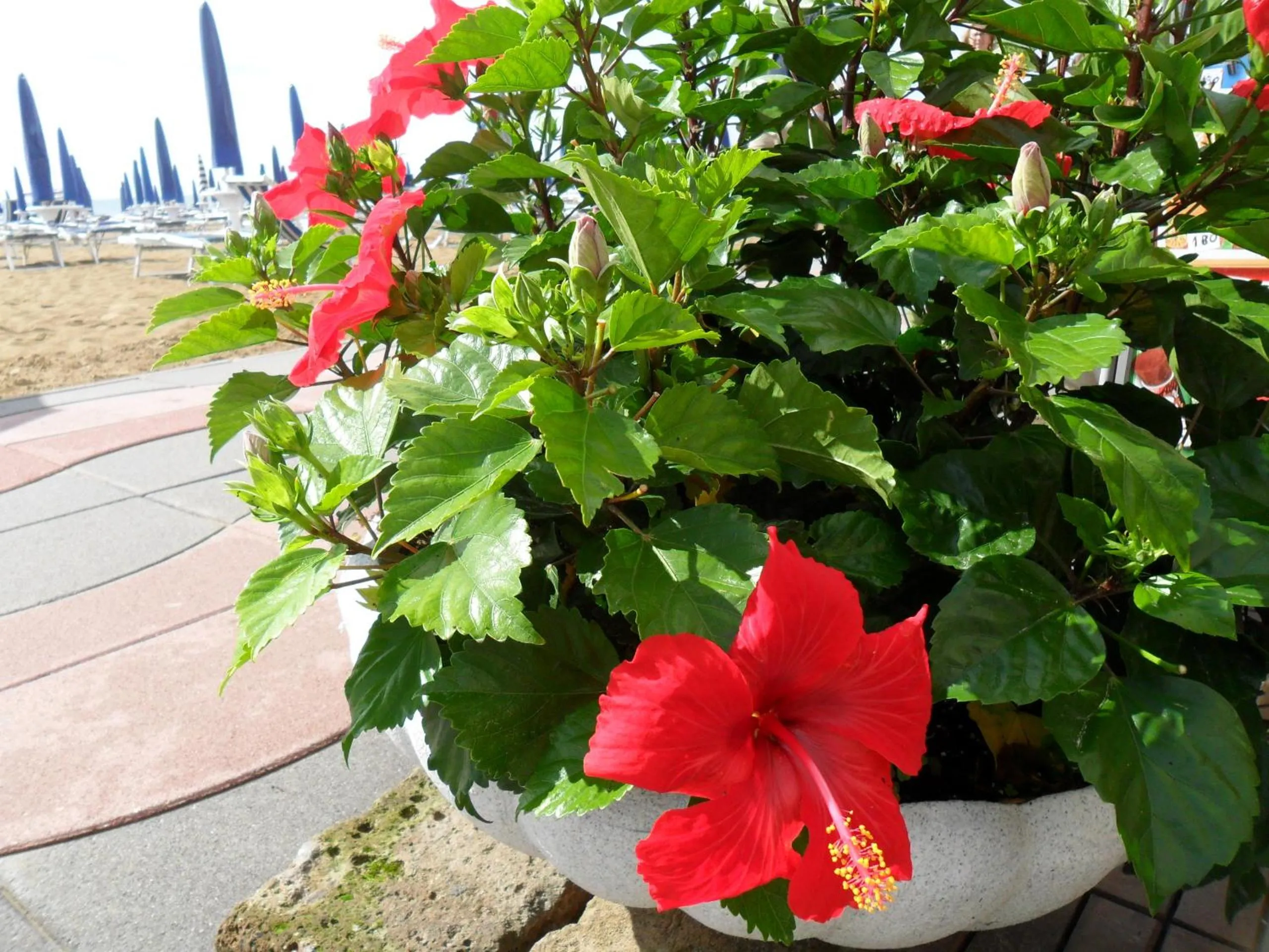 Other in Hotel Telenia