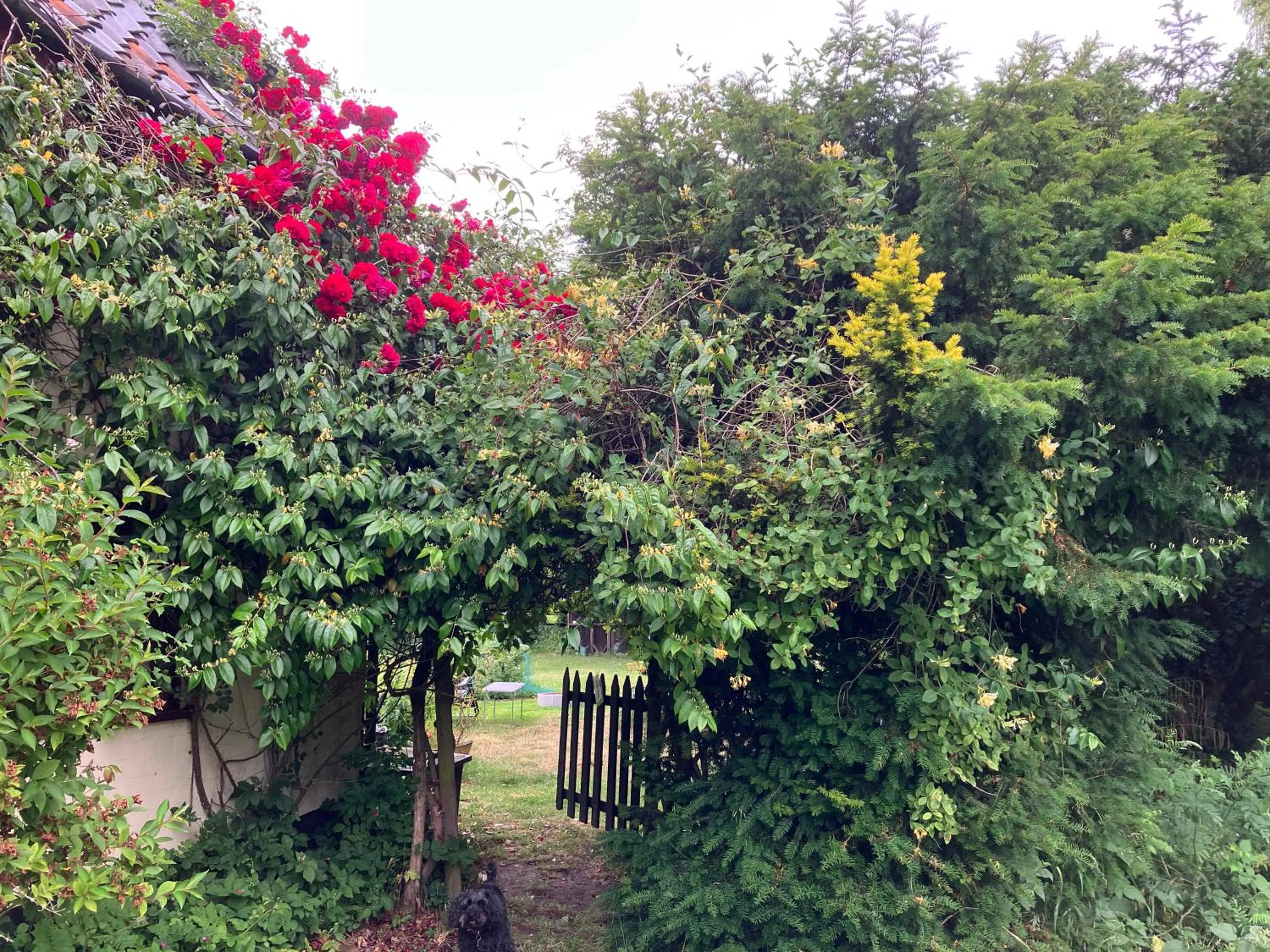 Garden in Valley Farmhouse, Westhall