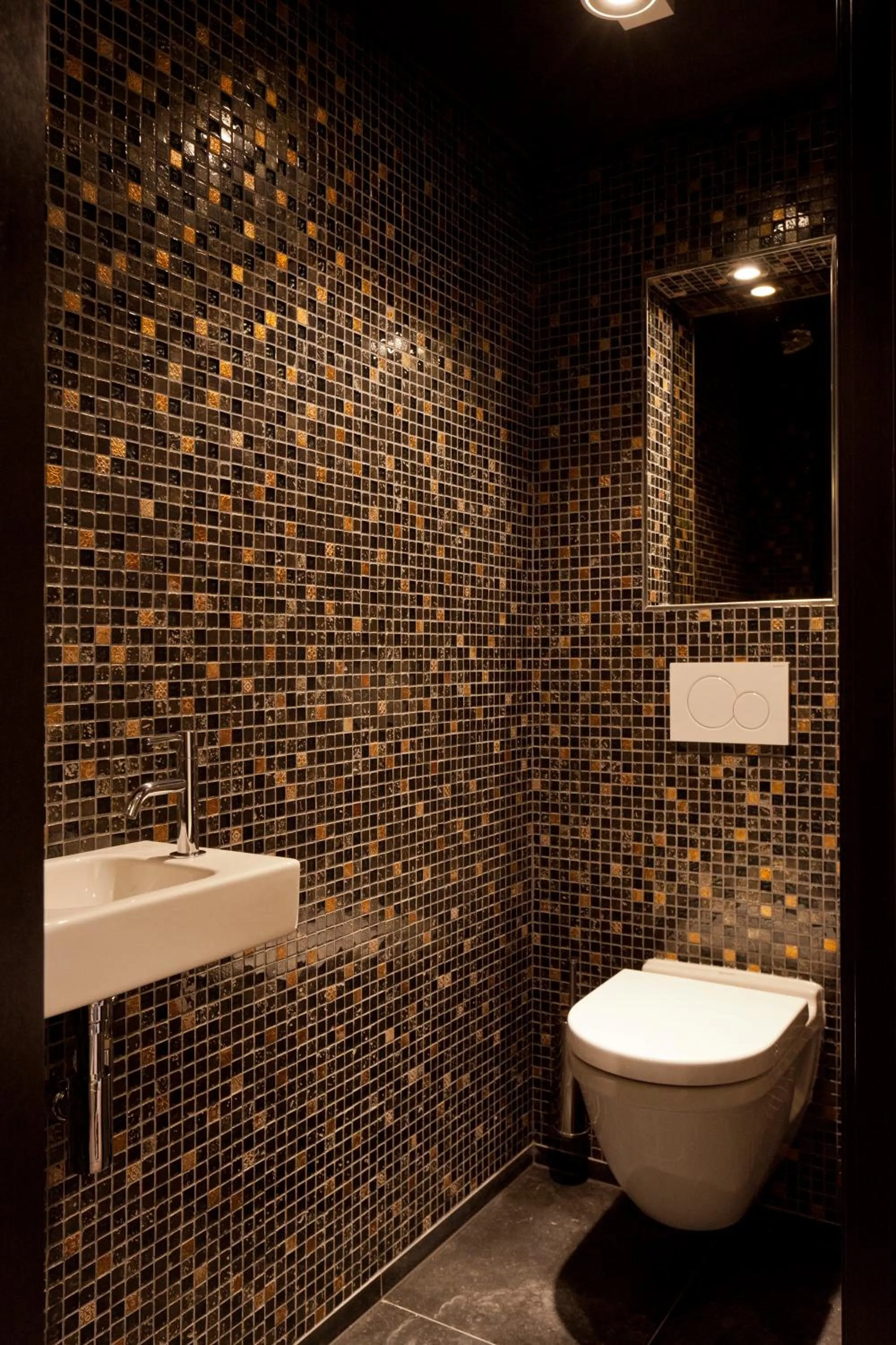 Toilet in 't Goude Hooft