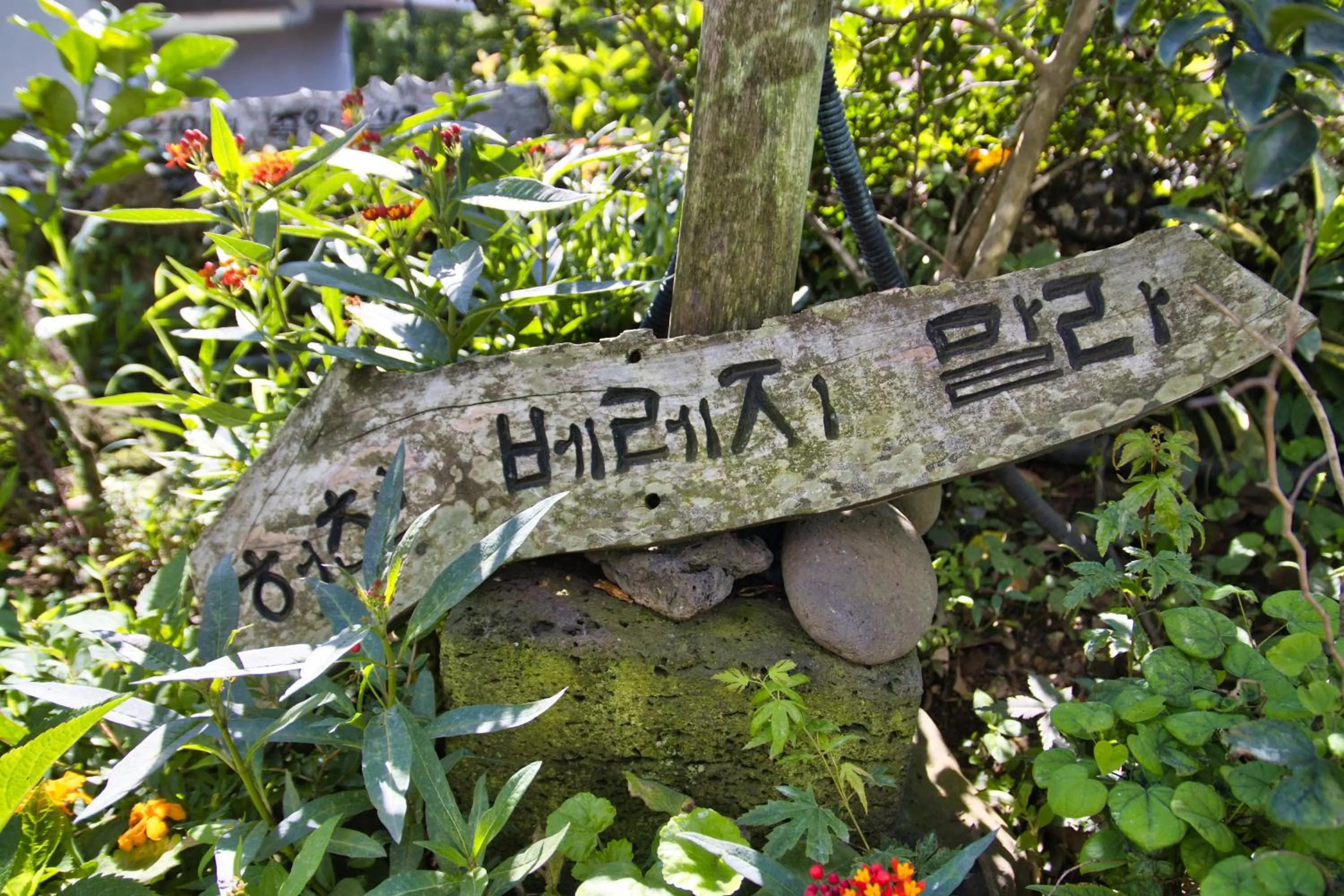 Garden in Seogwipo Beautiful Resort