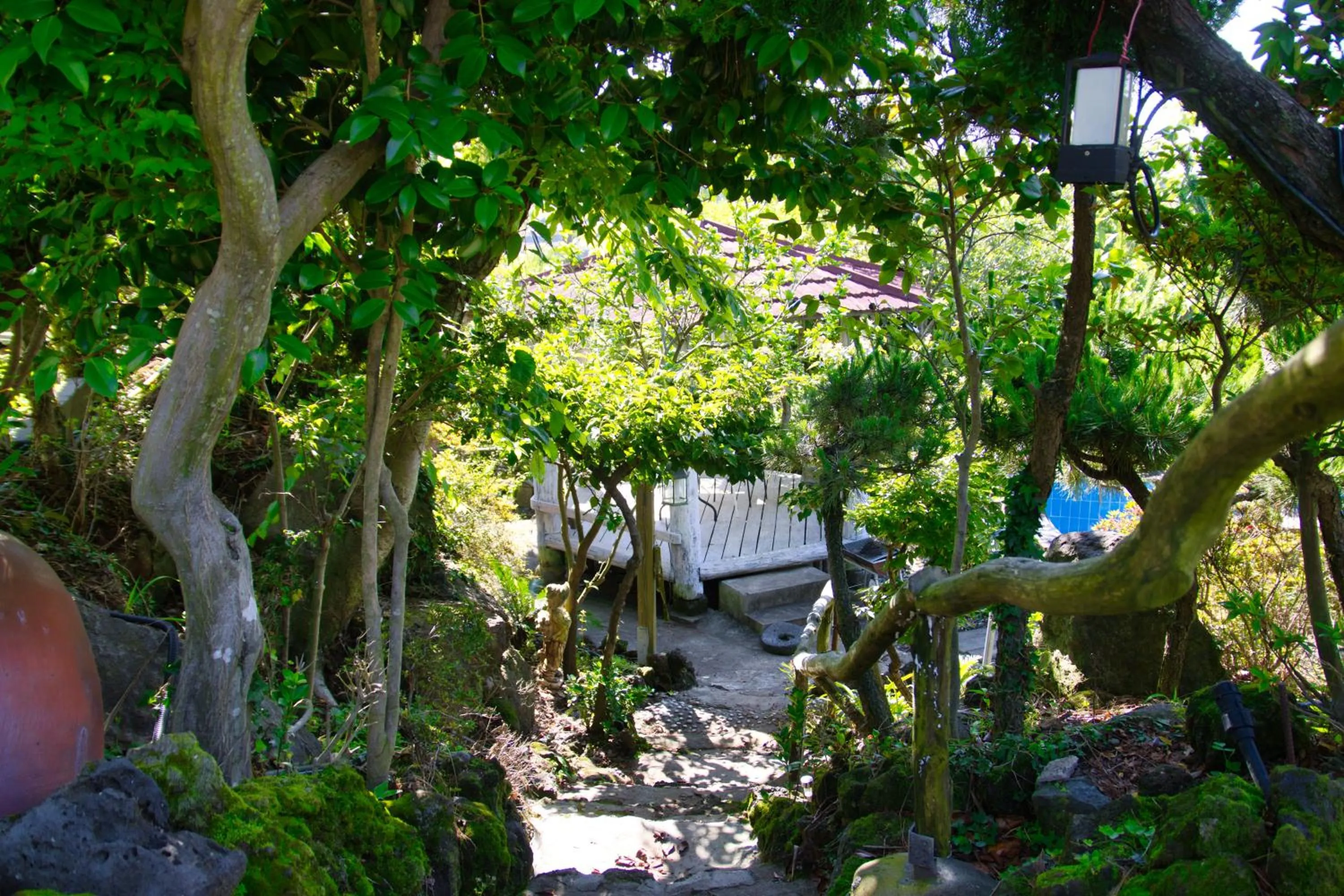 Garden in Seogwipo Beautiful Resort