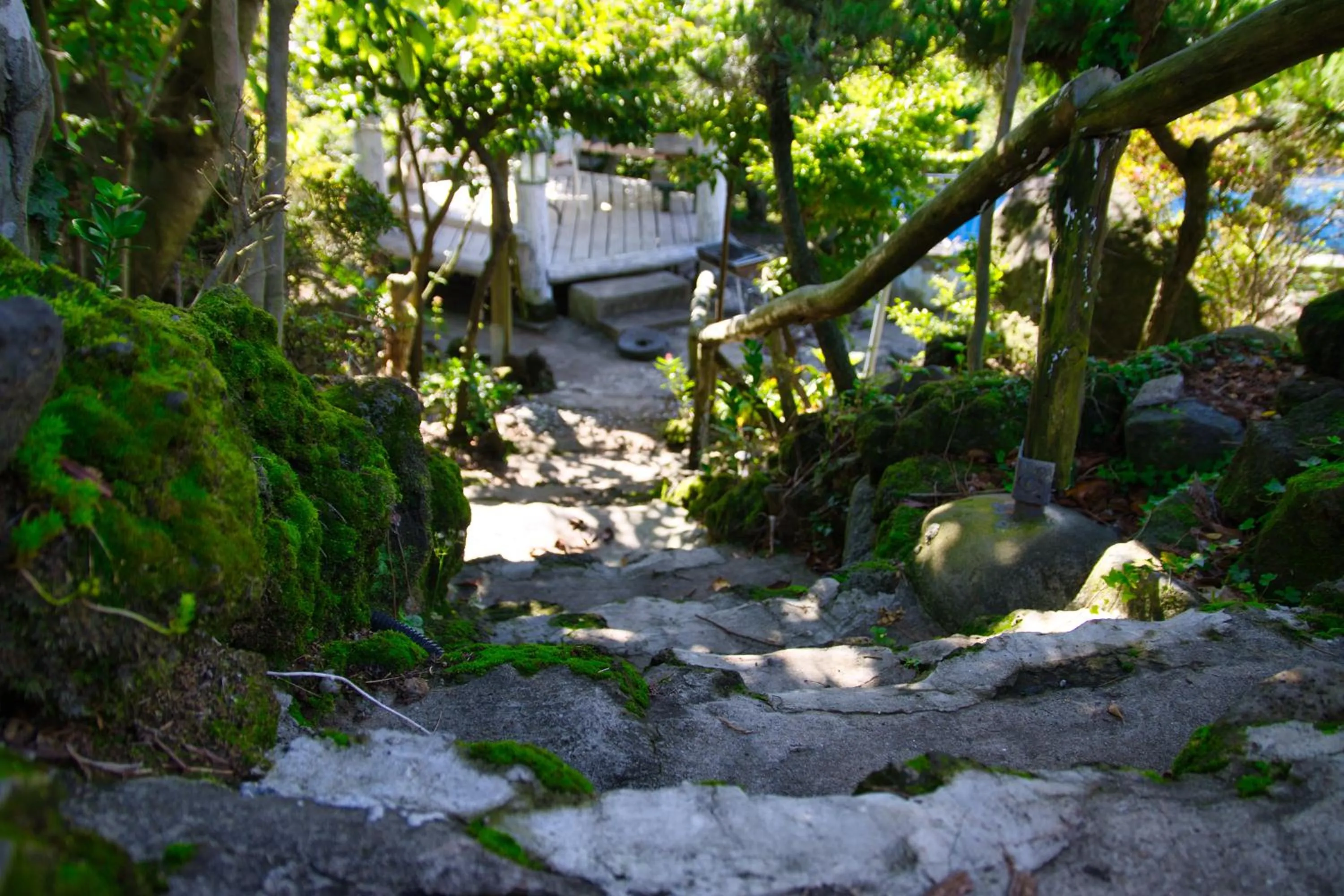 Garden in Seogwipo Beautiful Resort