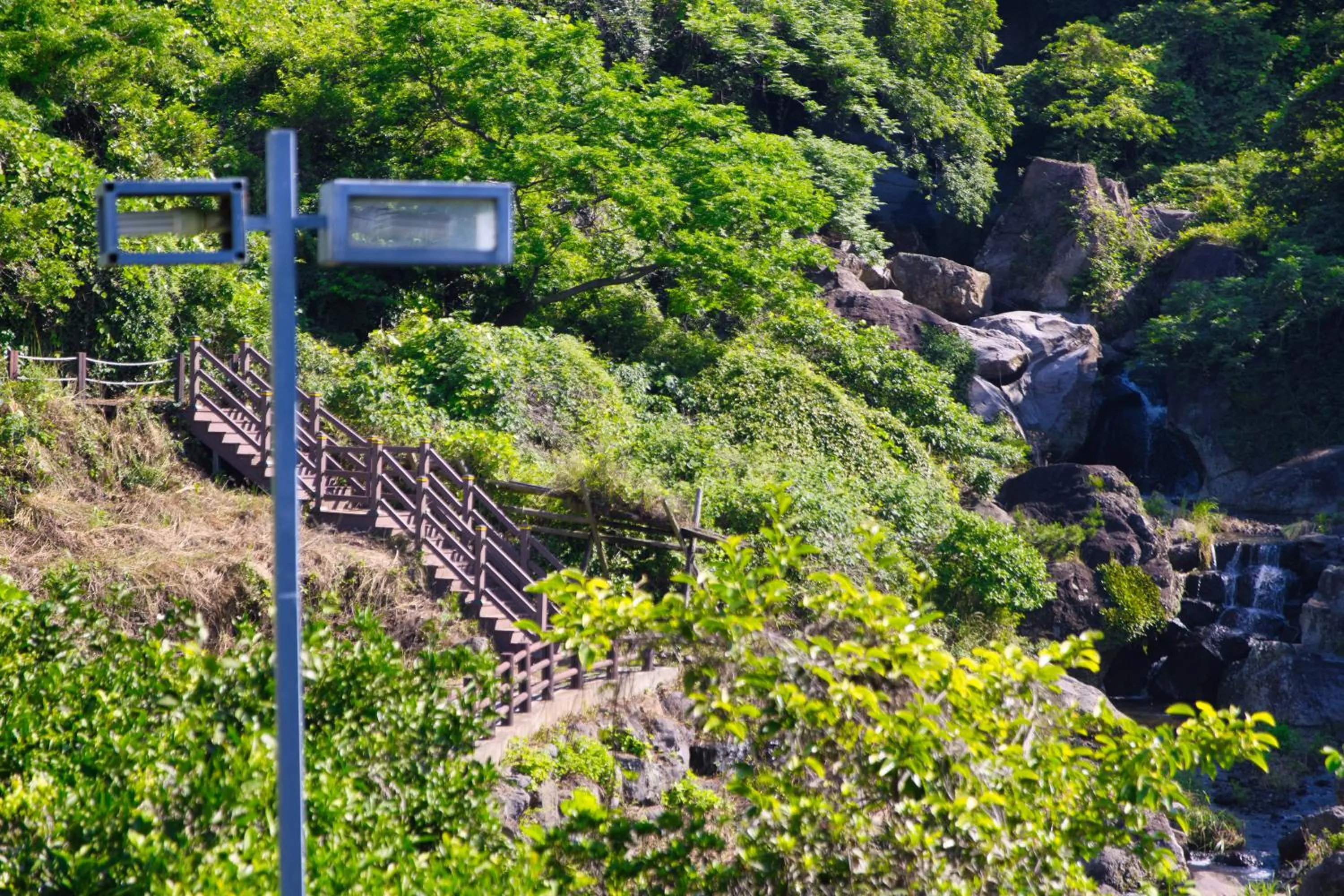 Garden in Seogwipo Beautiful Resort