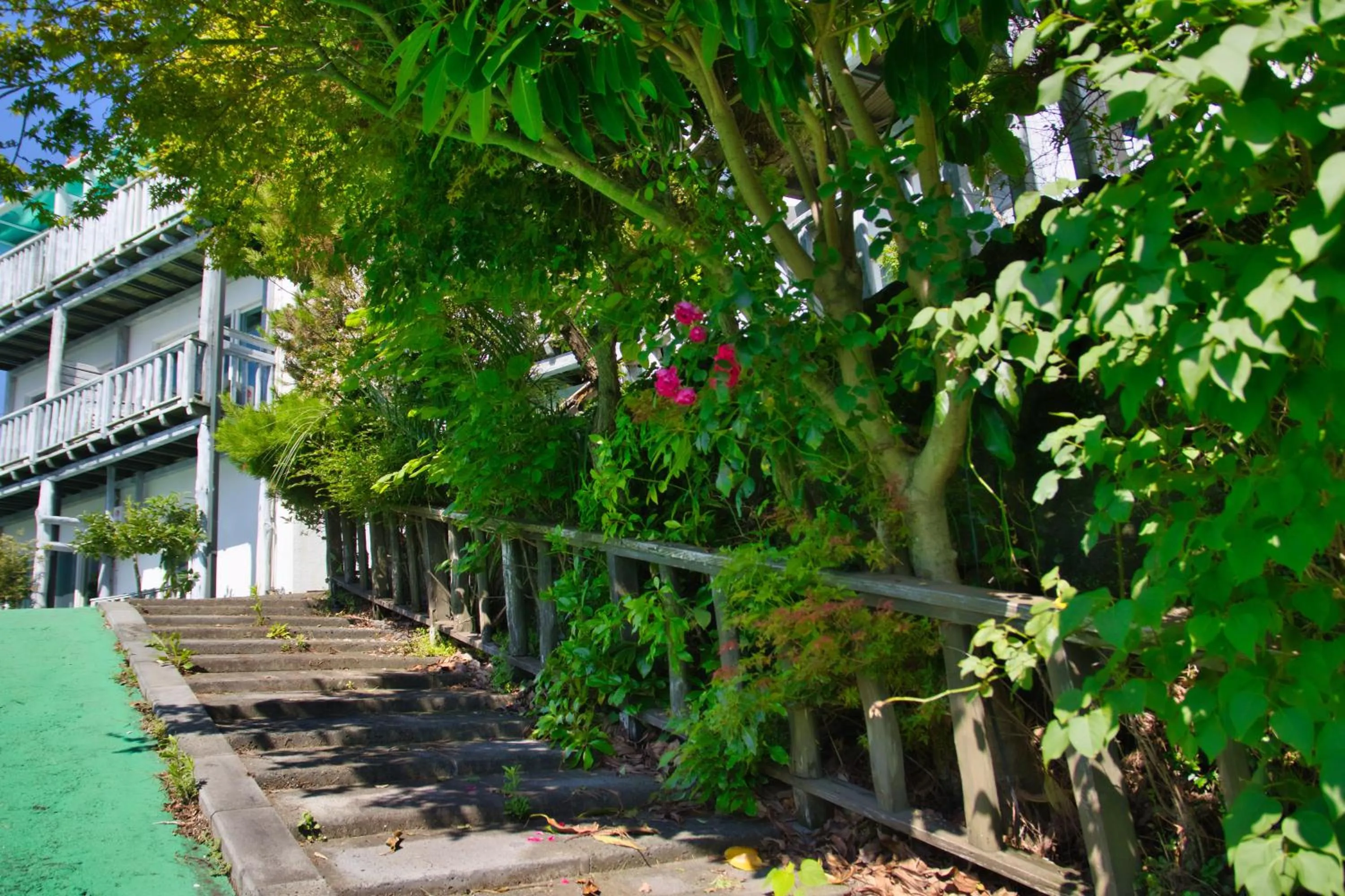 Garden in Seogwipo Beautiful Resort