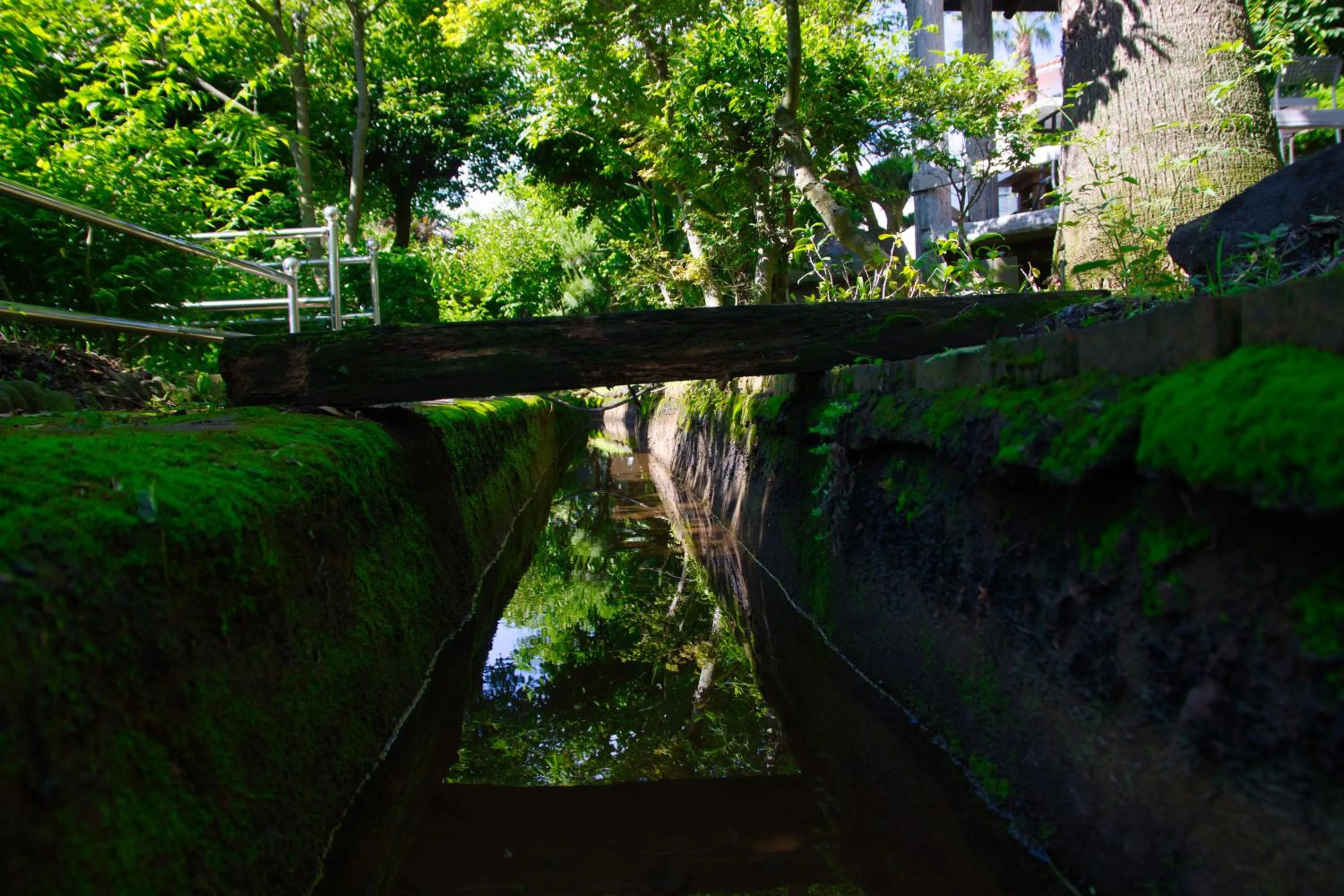 Garden in Seogwipo Beautiful Resort