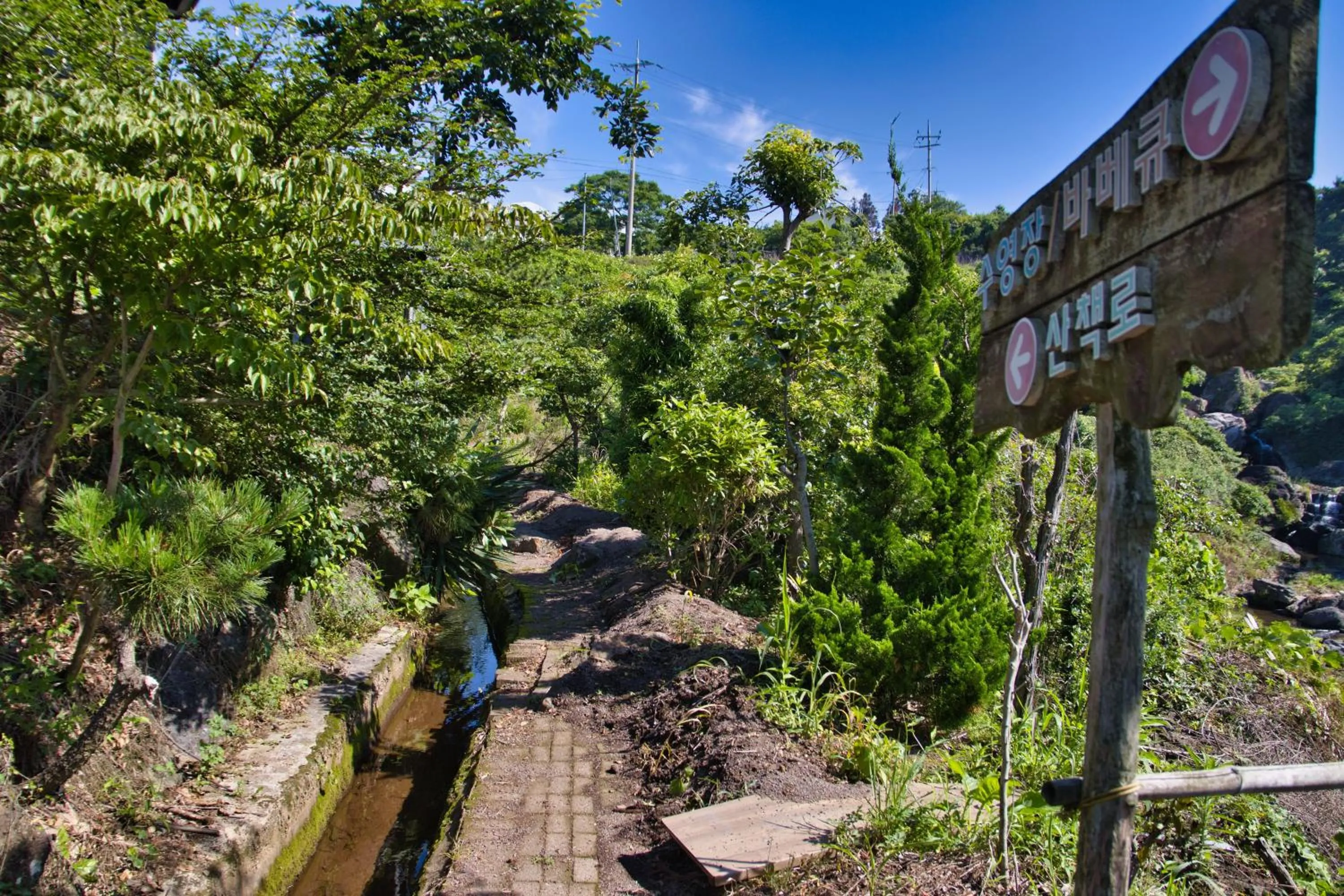 Garden in Seogwipo Beautiful Resort
