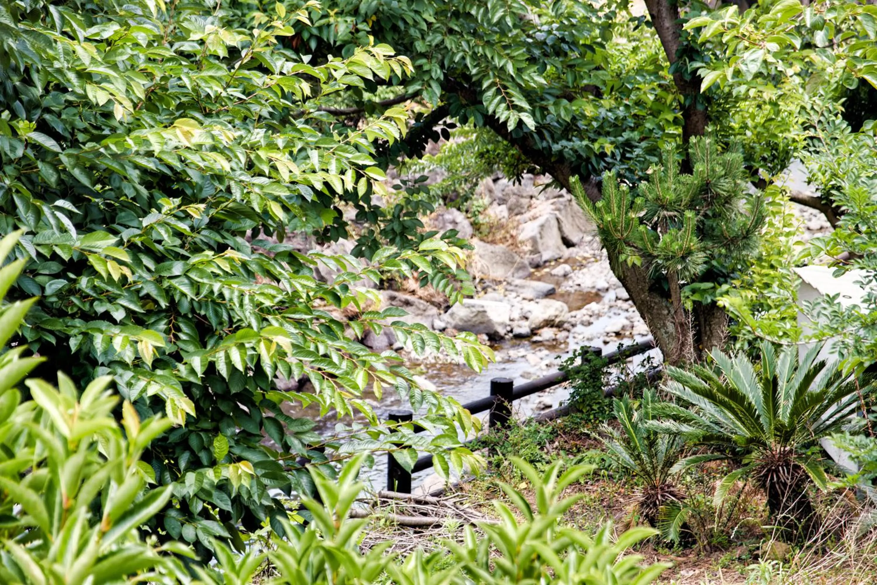 Garden in Seogwipo Beautiful Resort