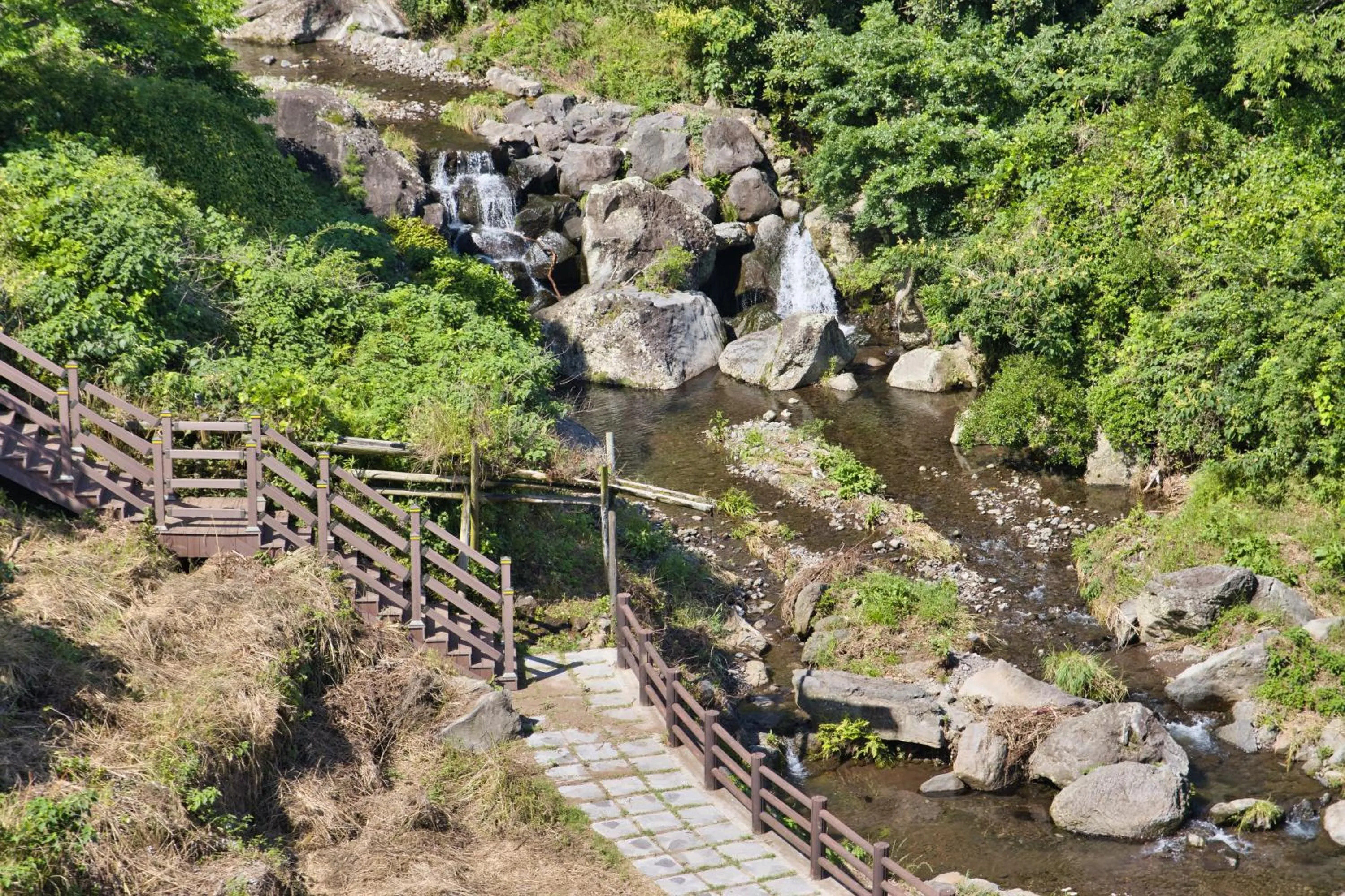Garden in Seogwipo Beautiful Resort