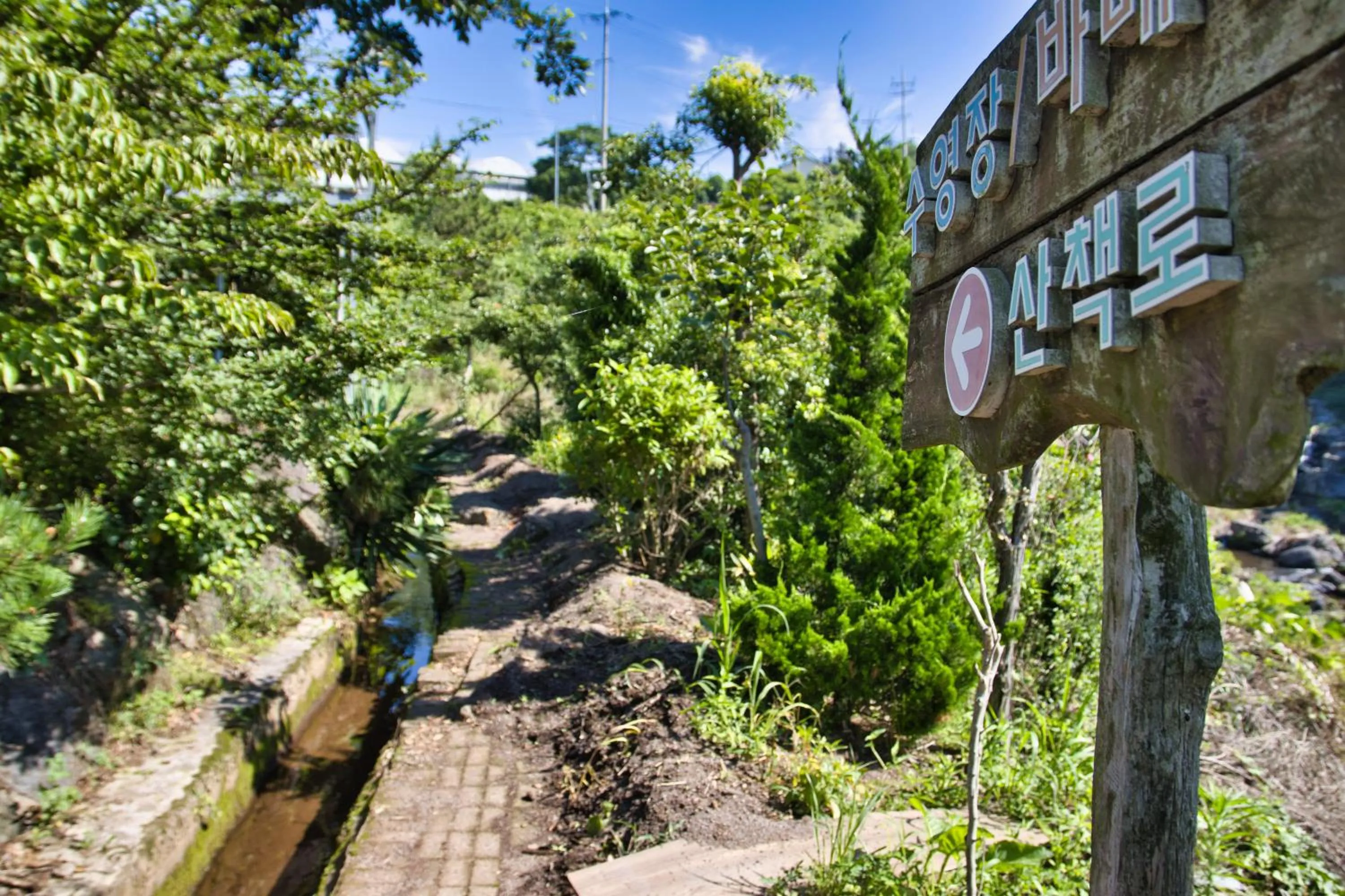 Garden in Seogwipo Beautiful Resort
