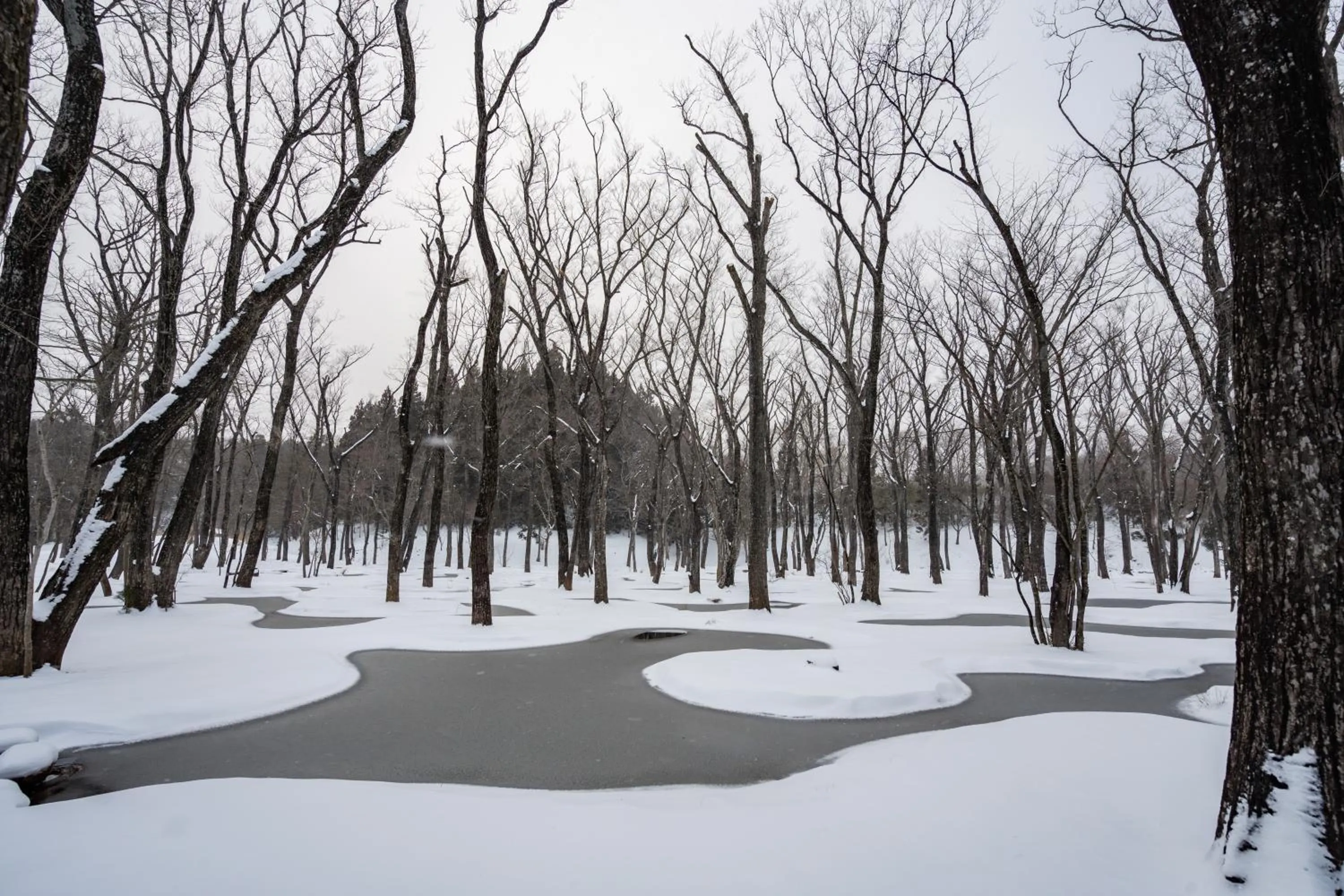 Natural landscape in nasu mukunone AUBERGE