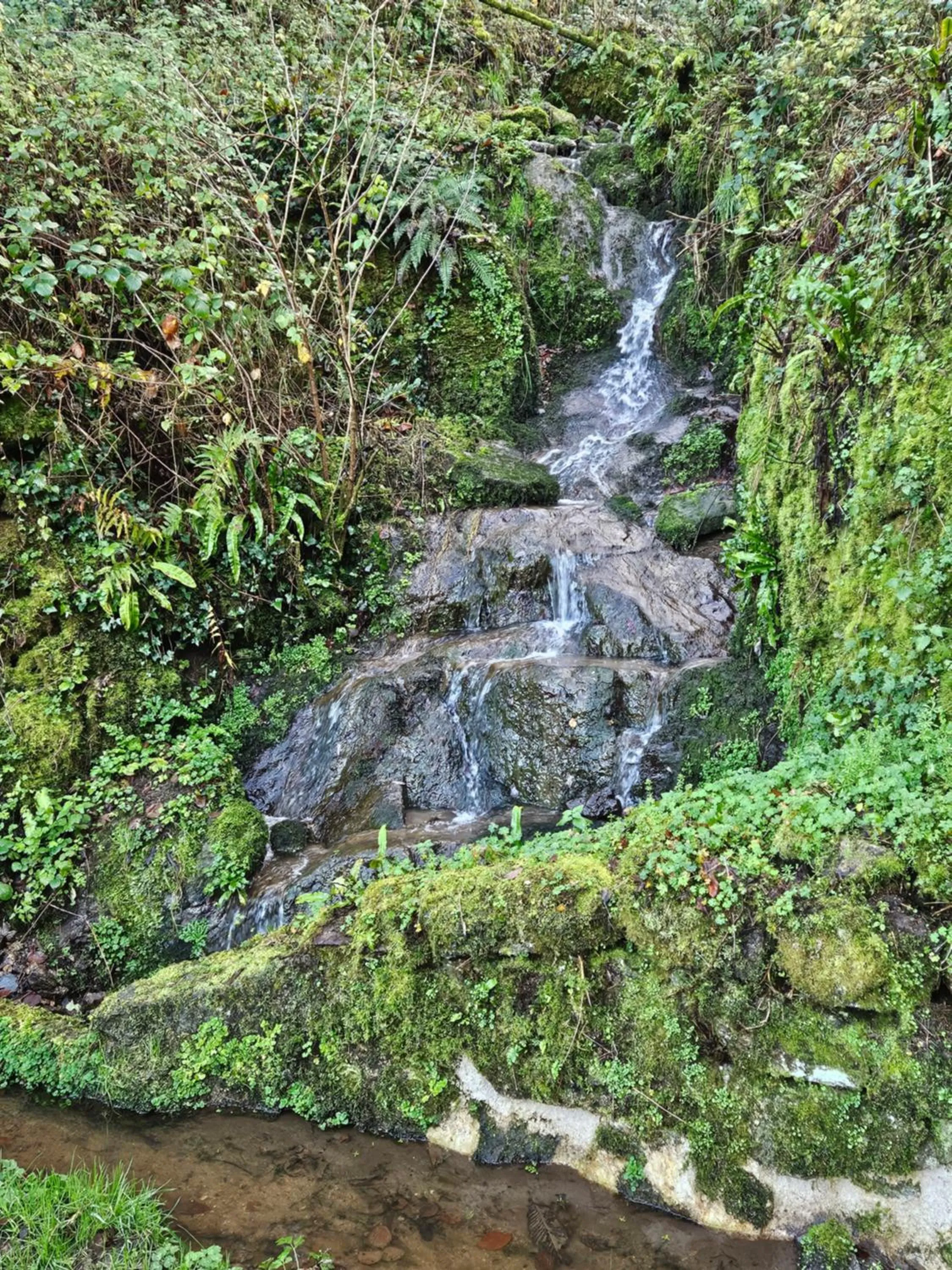 Natural landscape in LA GARDE DUCALE