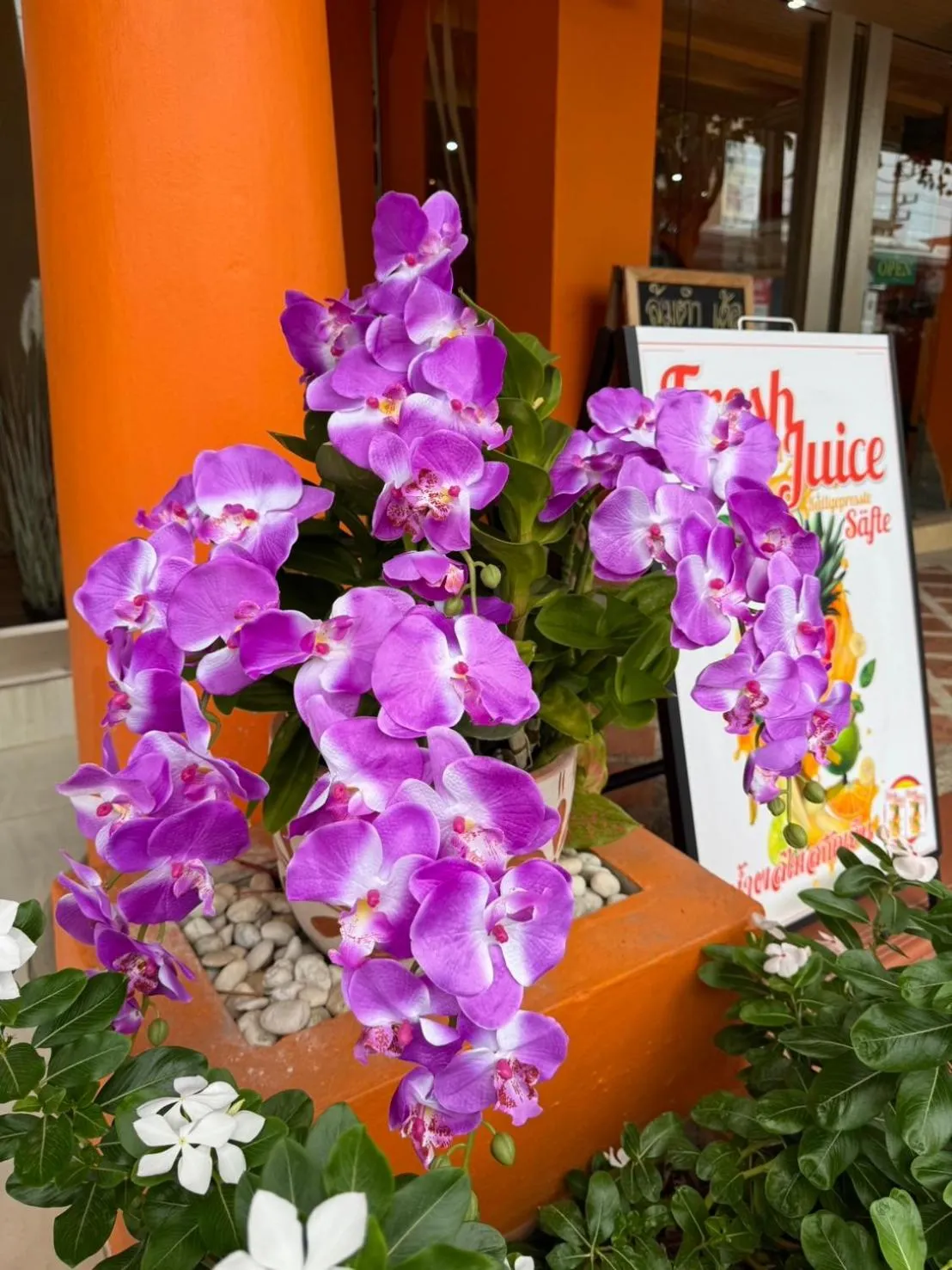 Restaurant/places to eat in Venice Hotel Hua Hin