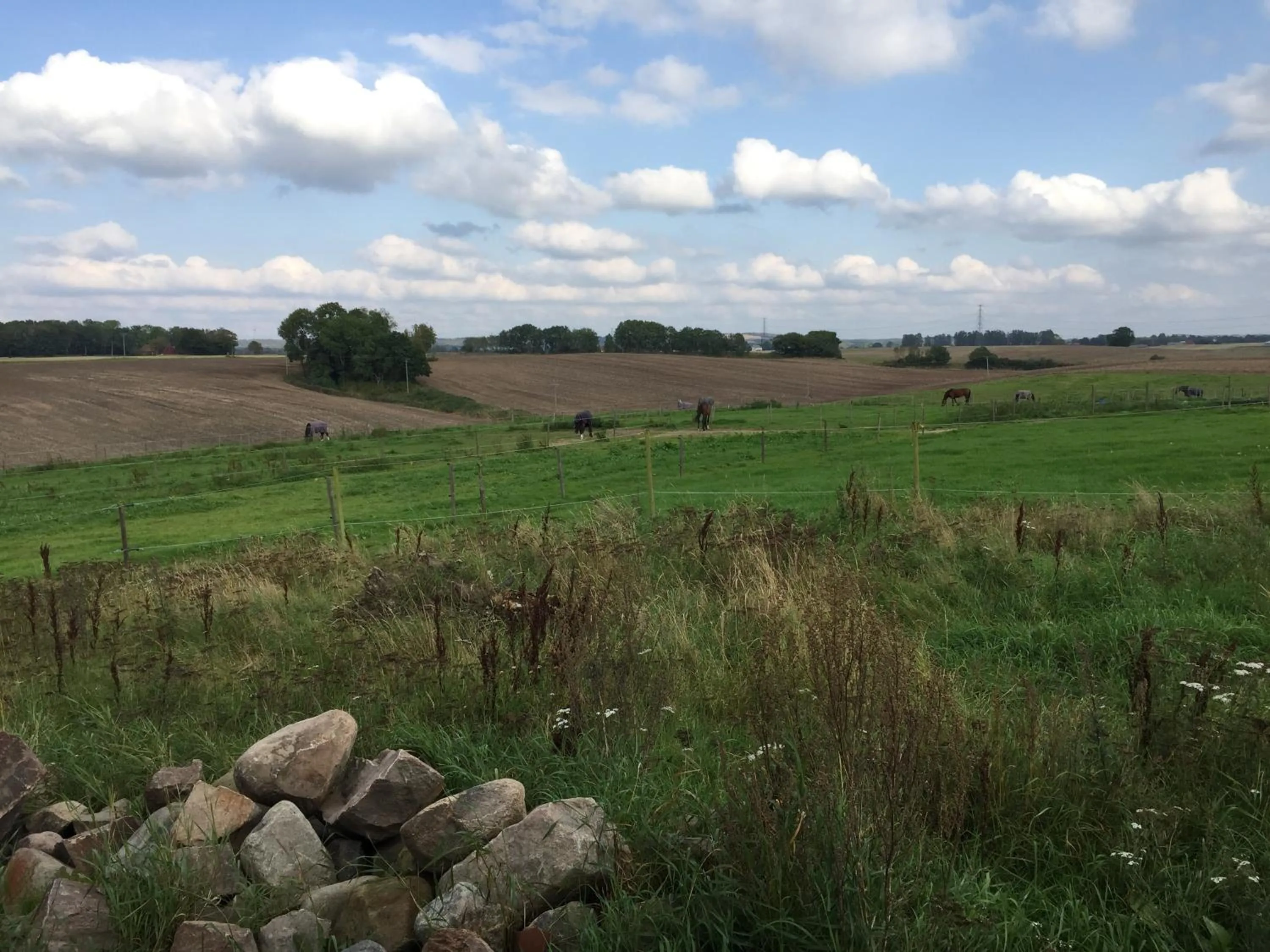 View (from property/room) in Lilla Trulla Gårdshotell - Feels like home