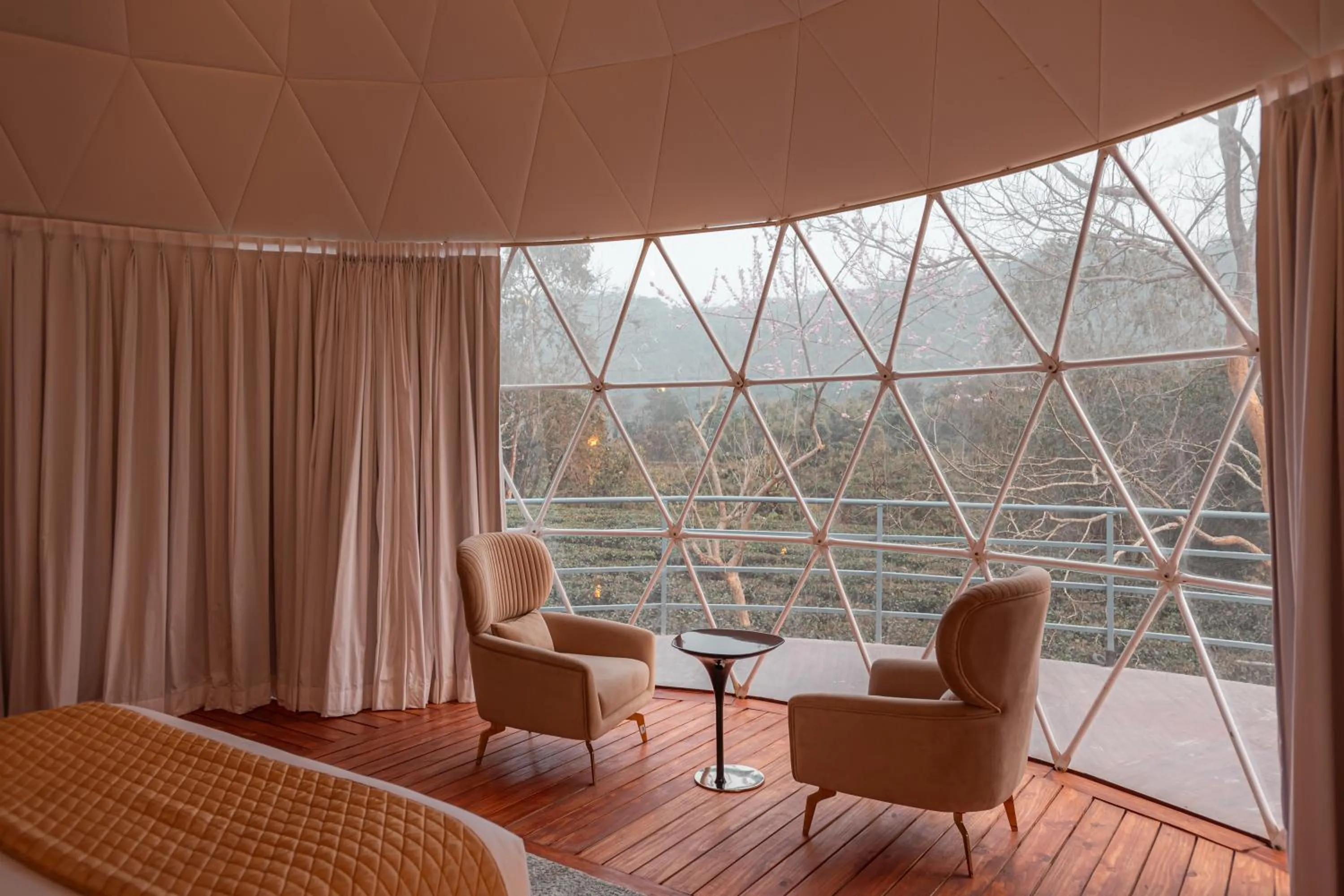 Vaani Greens Wildlife Resort, Kaziranga