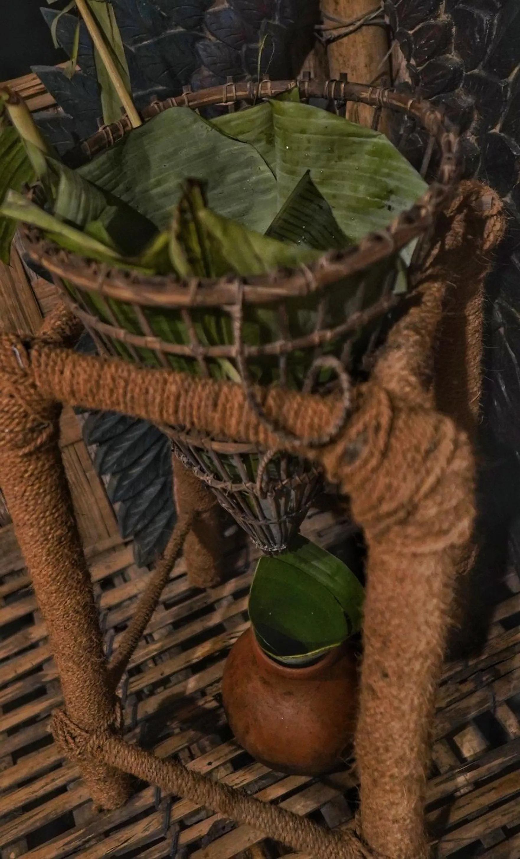 Vaani Greens Wildlife Resort, Kaziranga