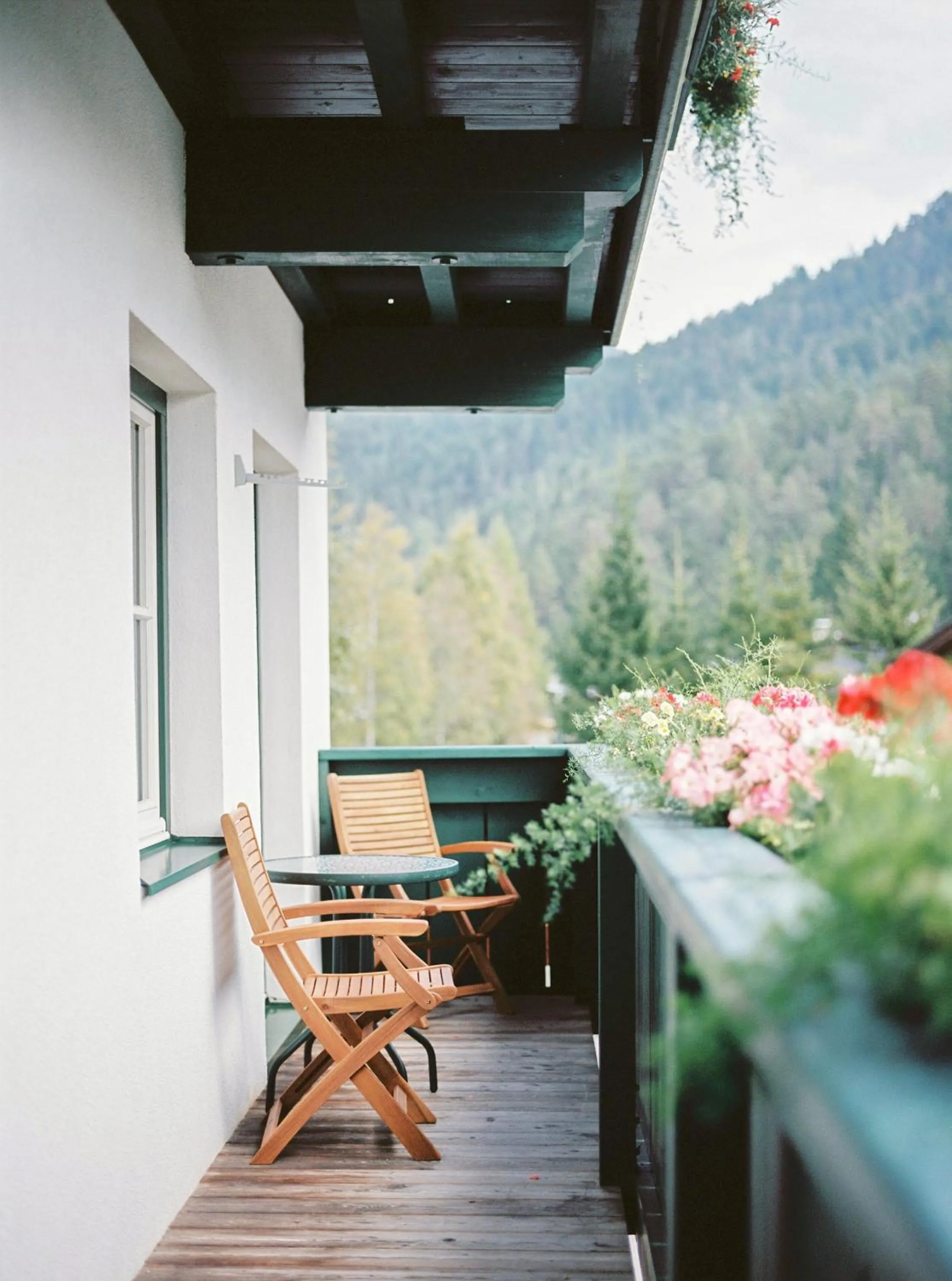 Garden view in Bio-Landpension Monika