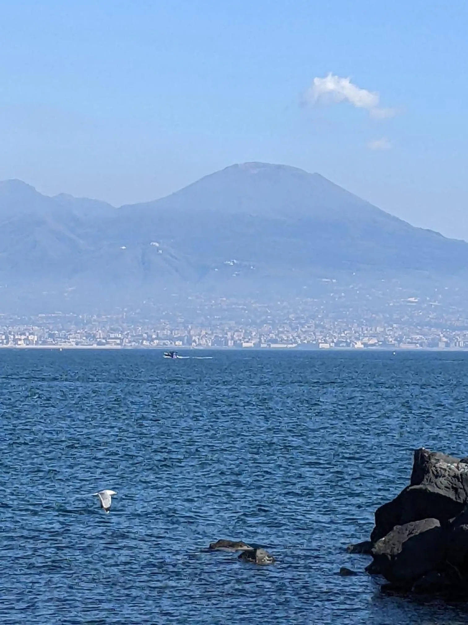 Nearby landmark in Toledo Relax