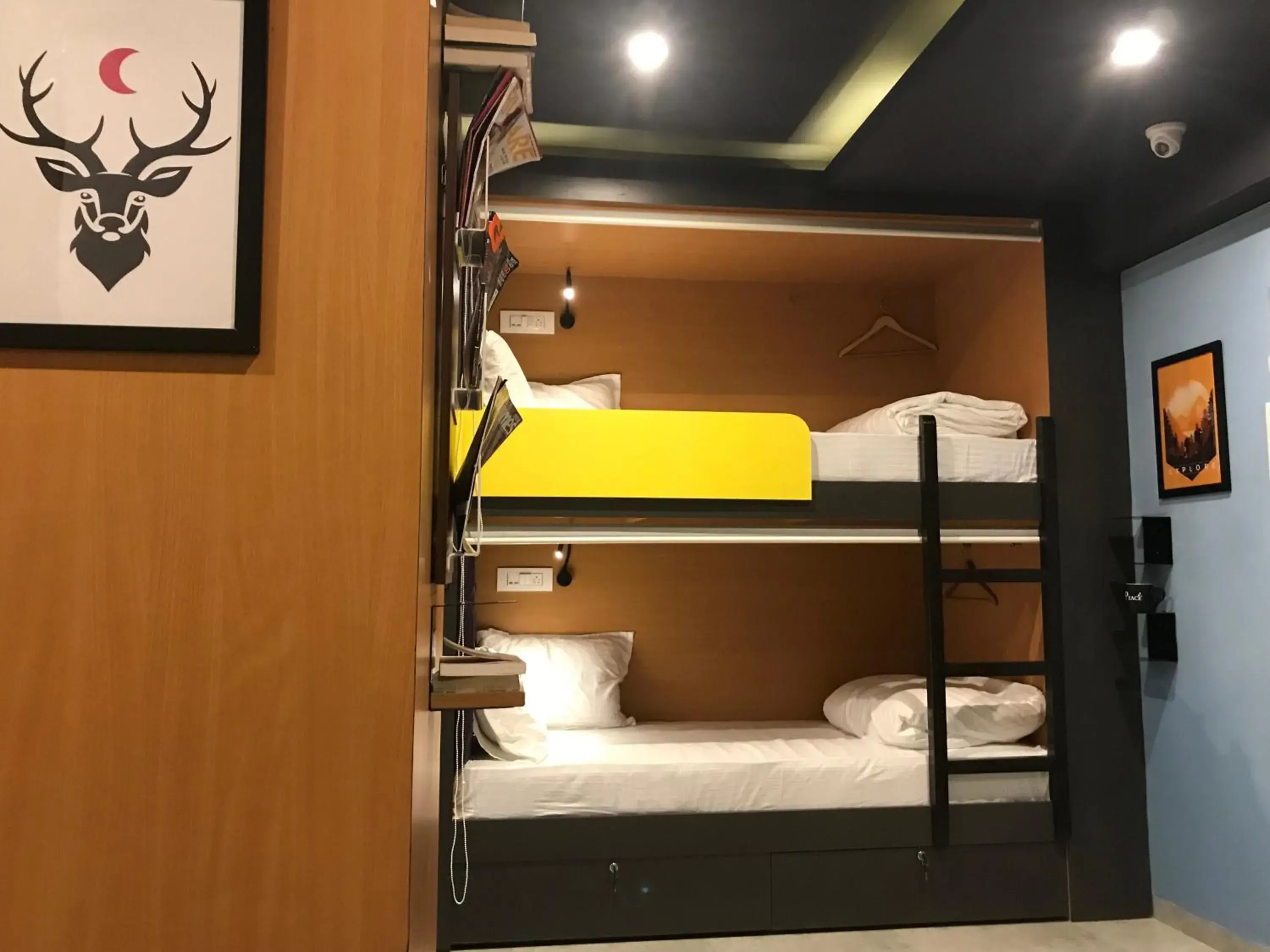 Bed in Male Dormitory Room in Stayvilla Hostel Bed in Male Dormitory Room in Stayvilla Hostel