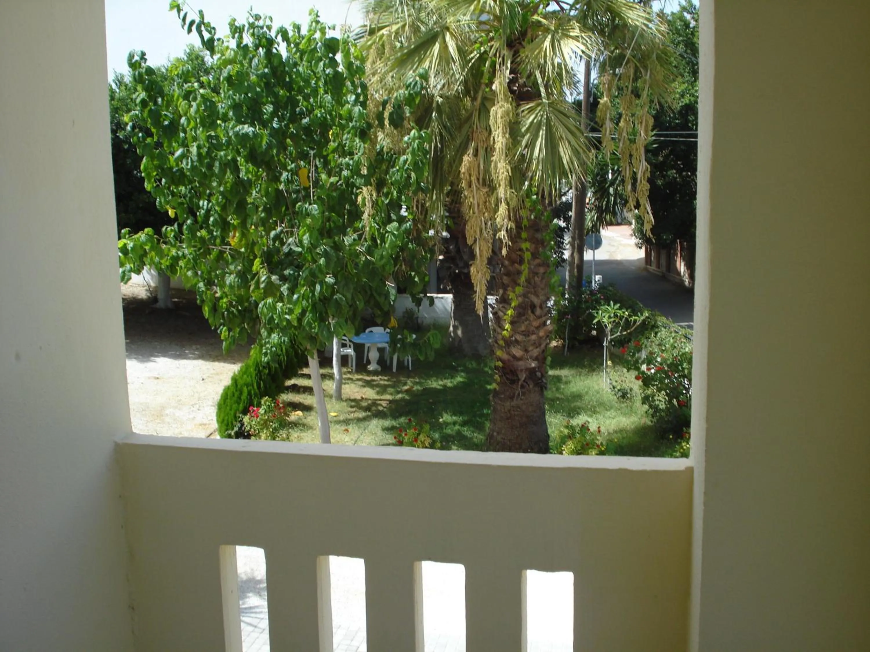 Bird's eye view in Zinovia