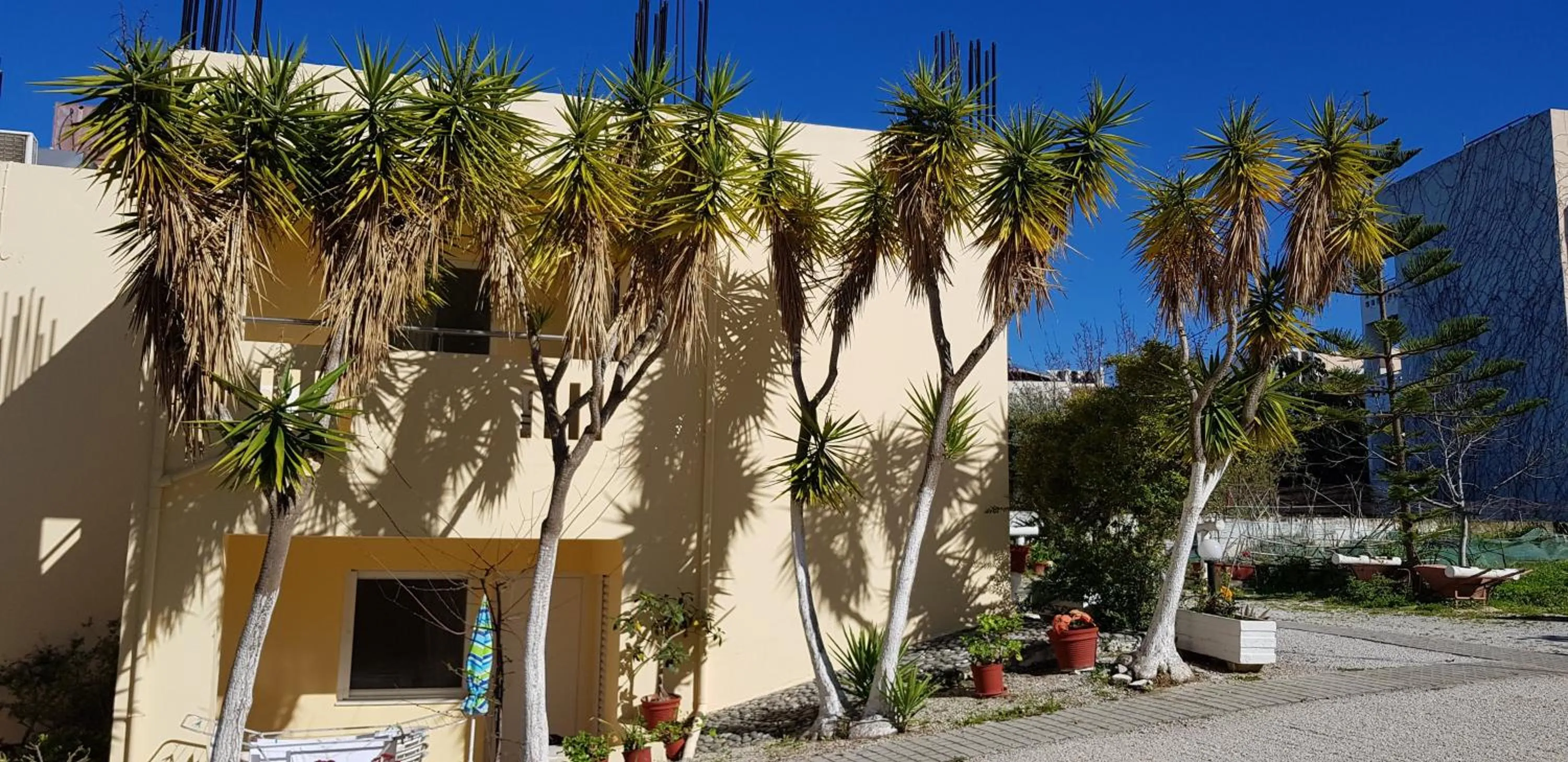 Property building in Zinovia