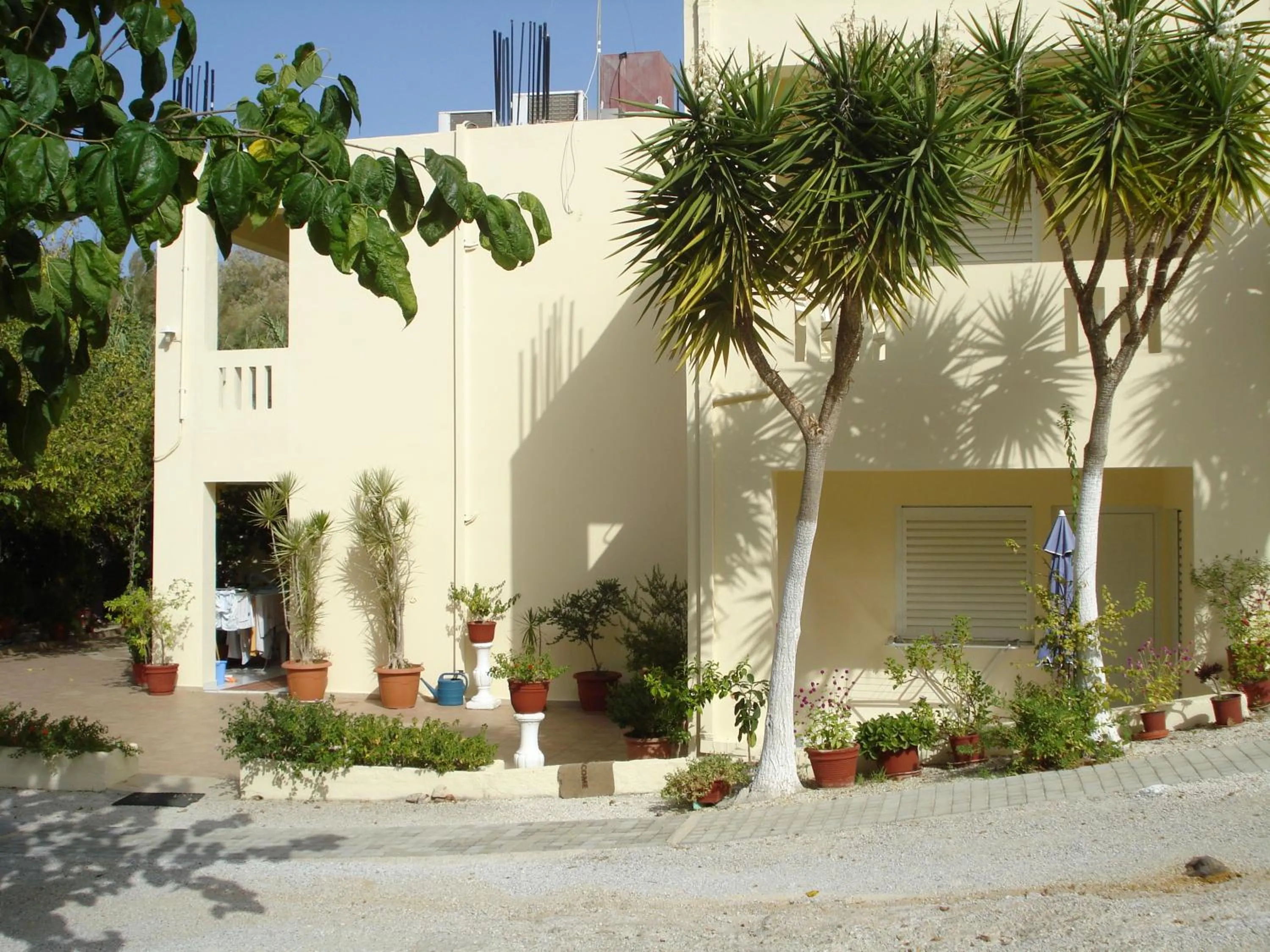 Facade/entrance in Zinovia