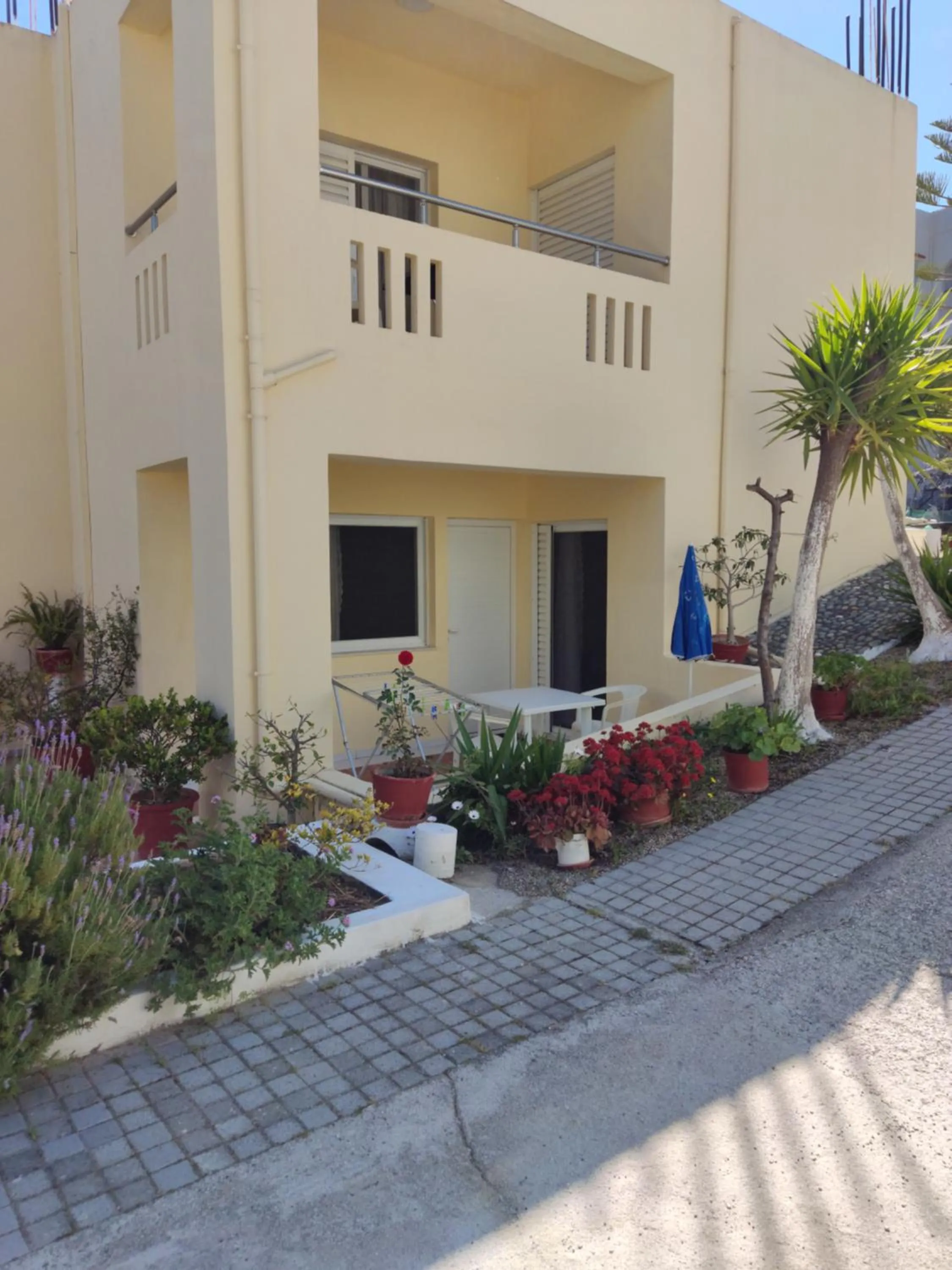 Property building in Zinovia