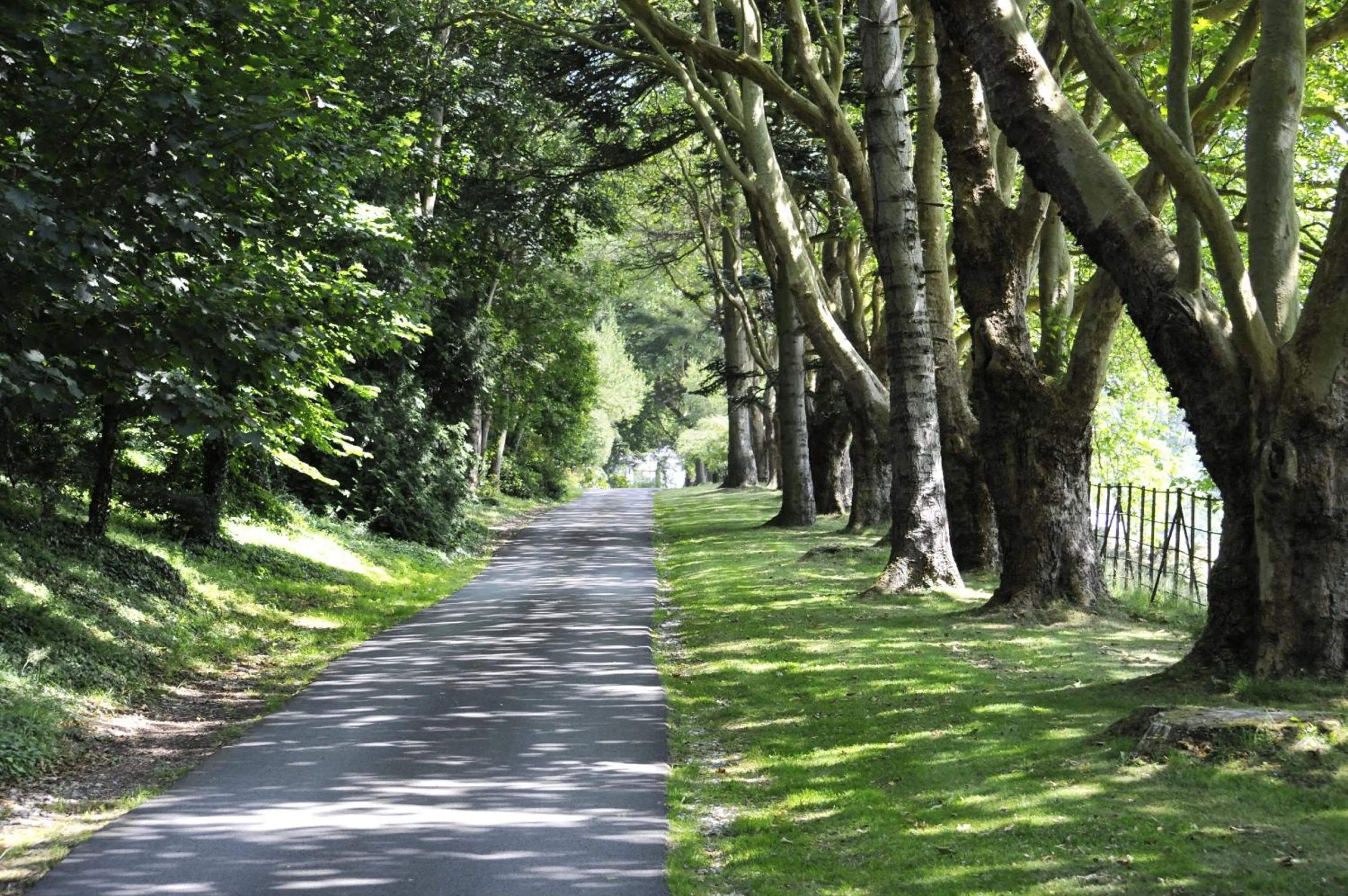 Street view in Plas Maenan