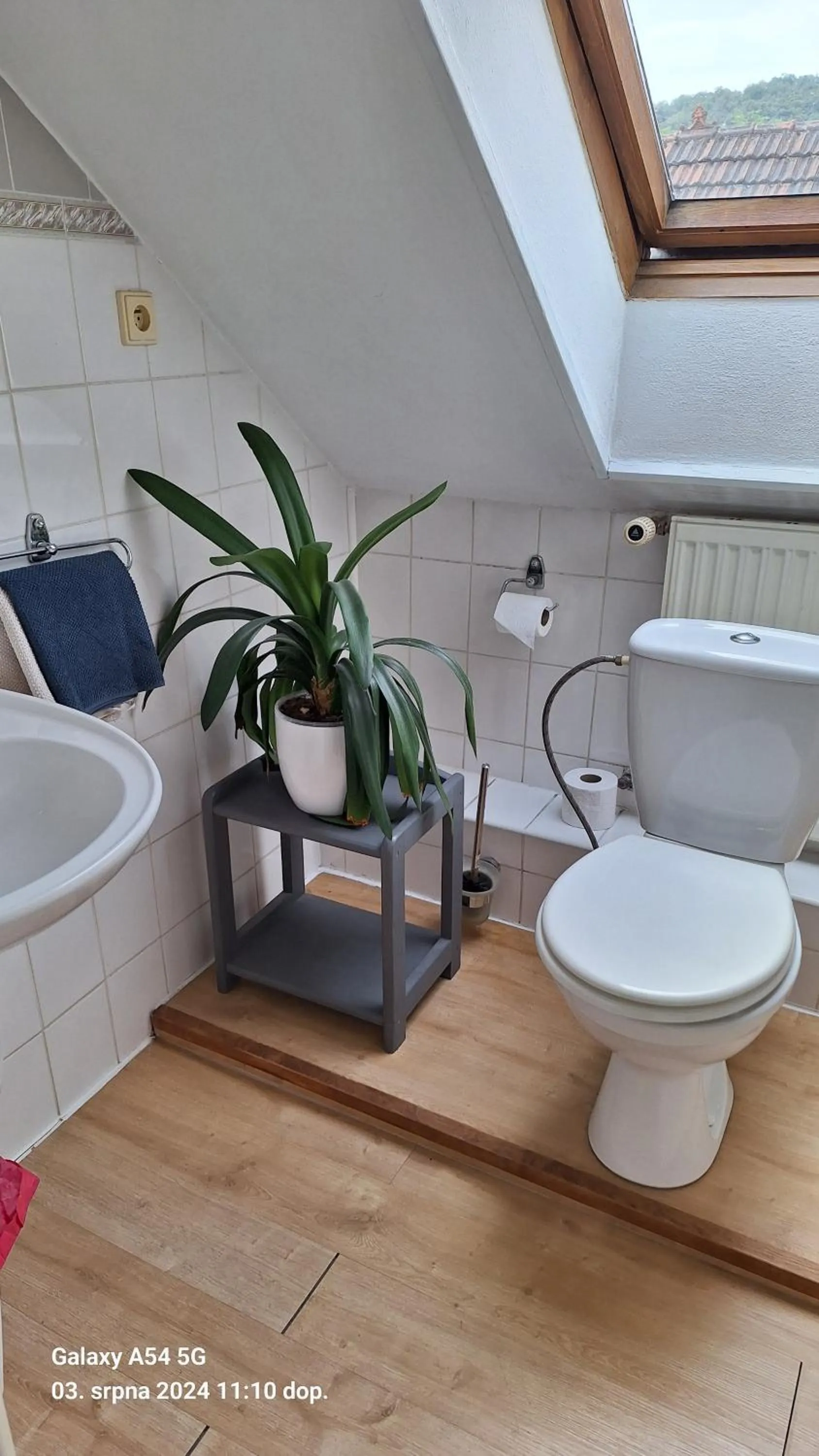 Toilet in Pension Egida