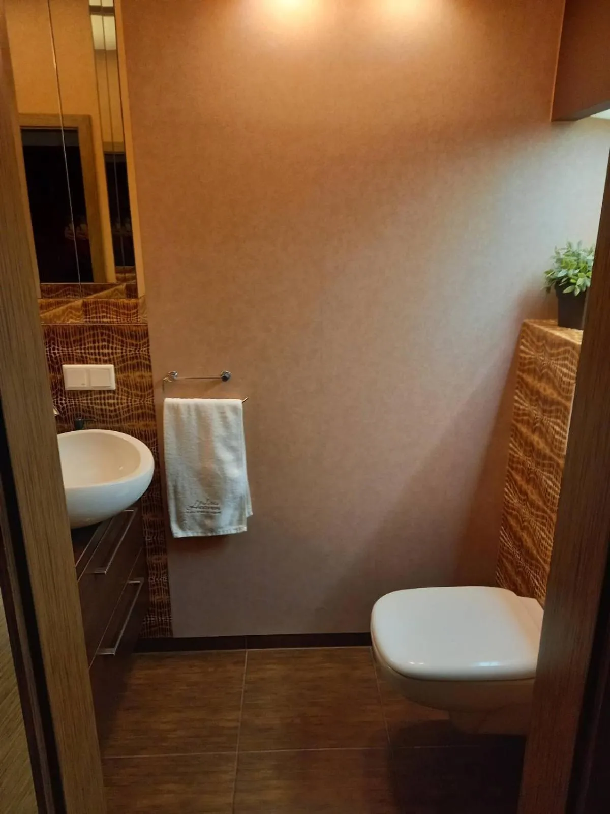 Toilet in Apartment with an Amazing View