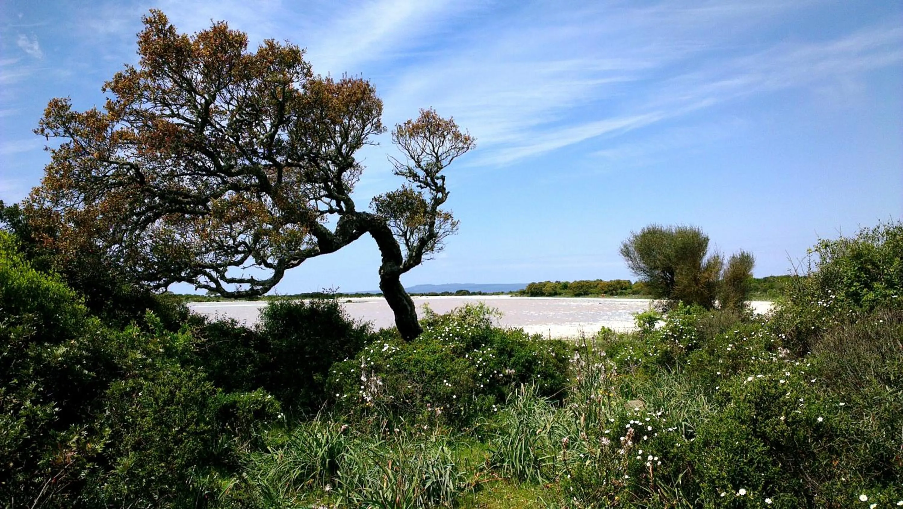 Spring in Il Borgo dell'Arcangelo