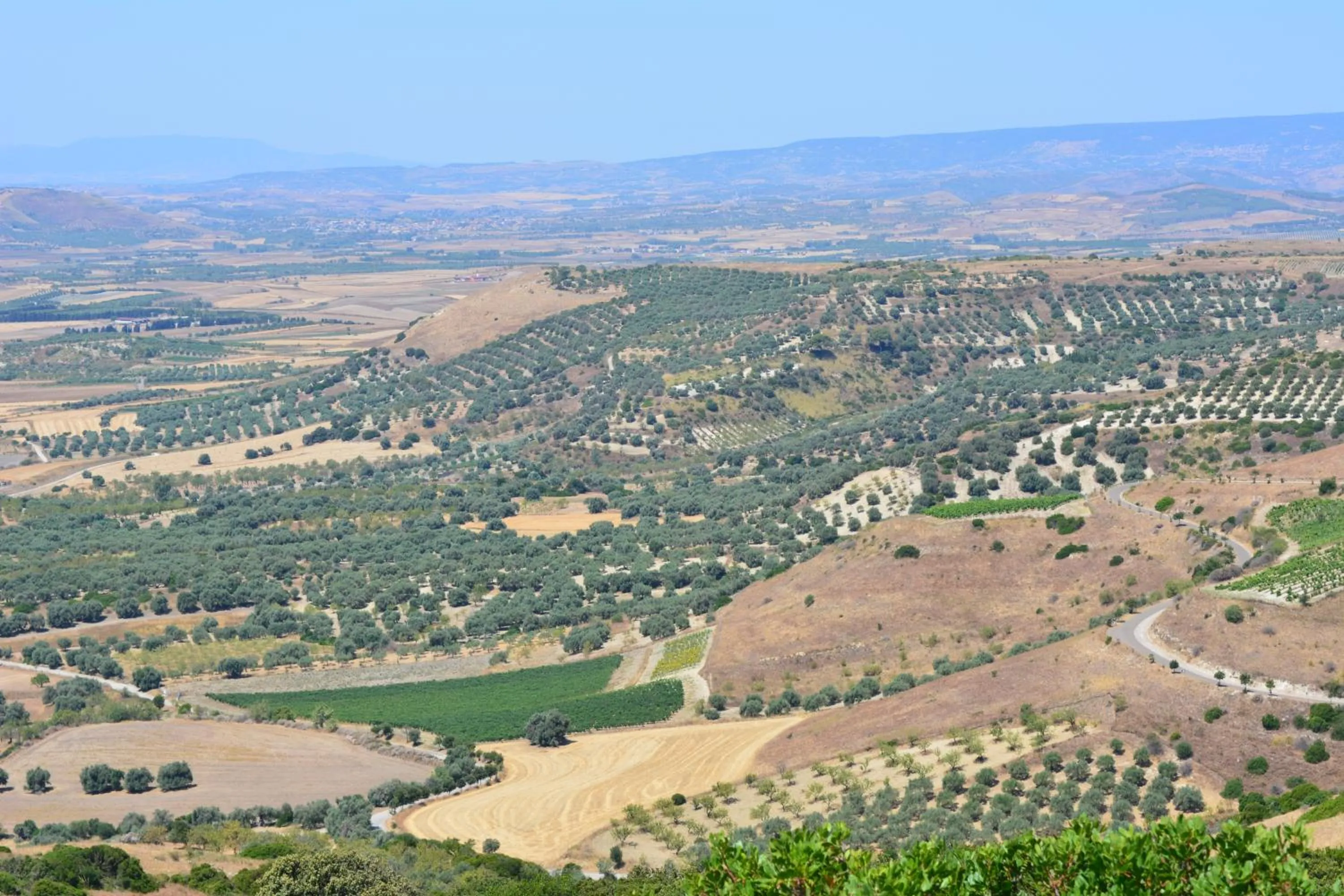 Nearby landmark in Il Borgo dell'Arcangelo