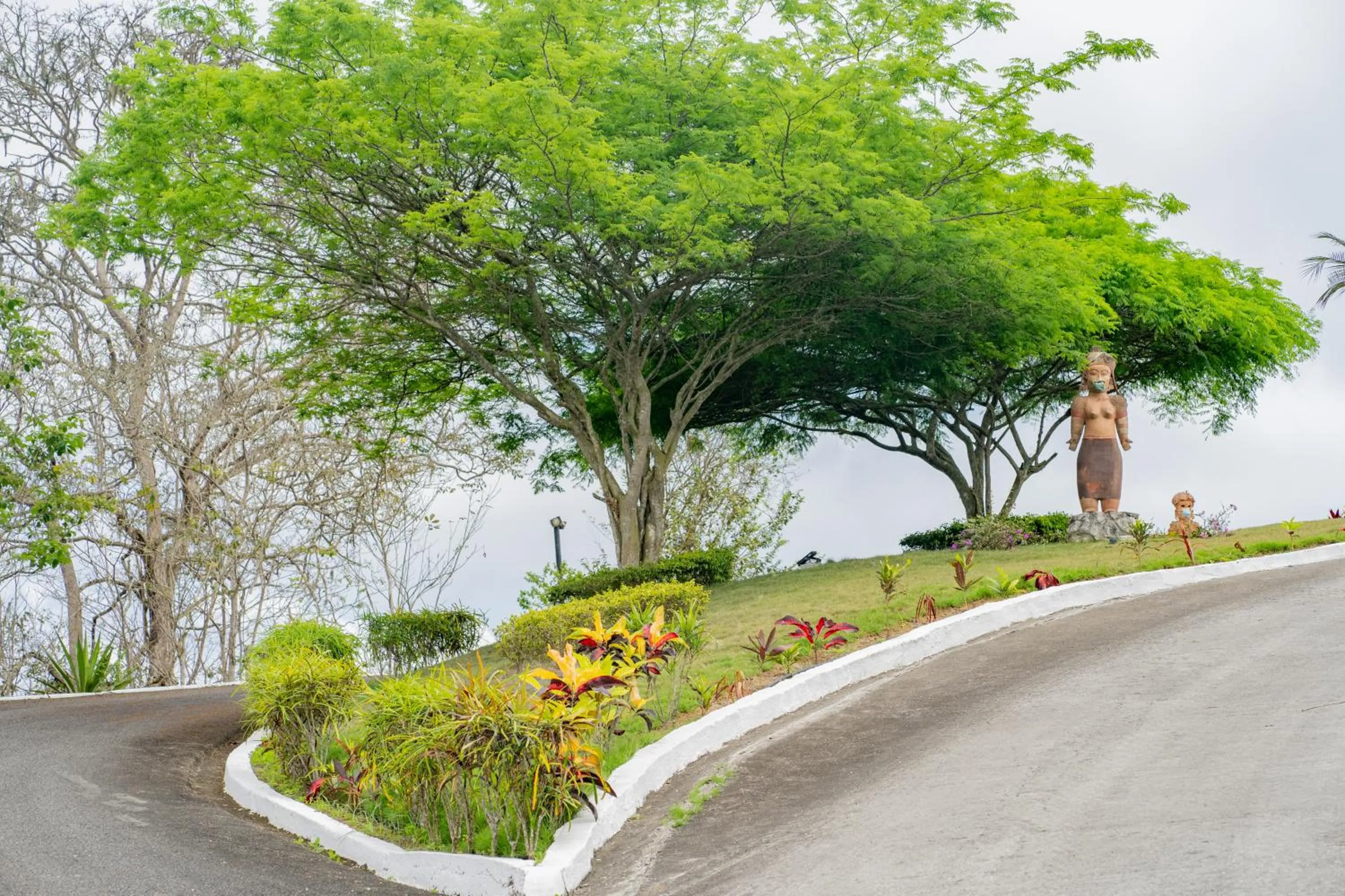 Natural landscape in Nativa Bambu Ecolodge