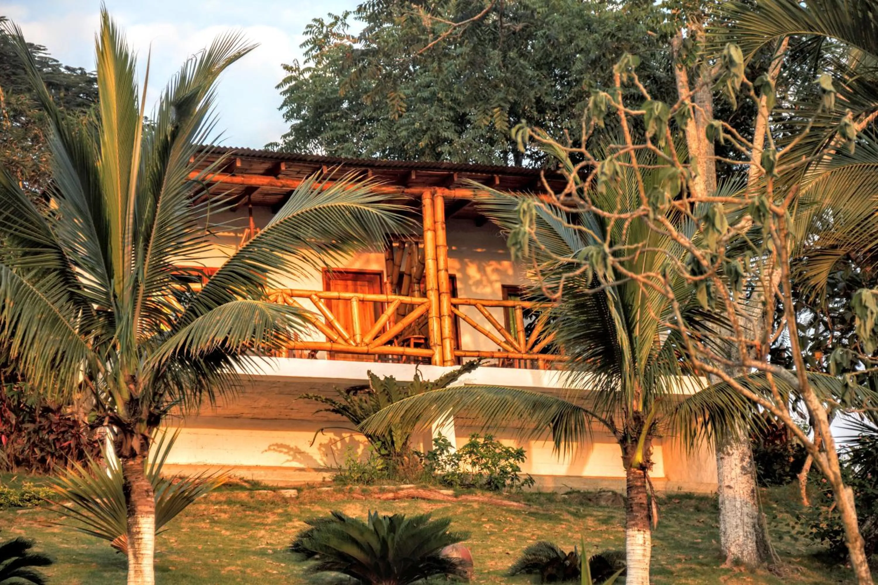 Spring in Nativa Bambu Ecolodge