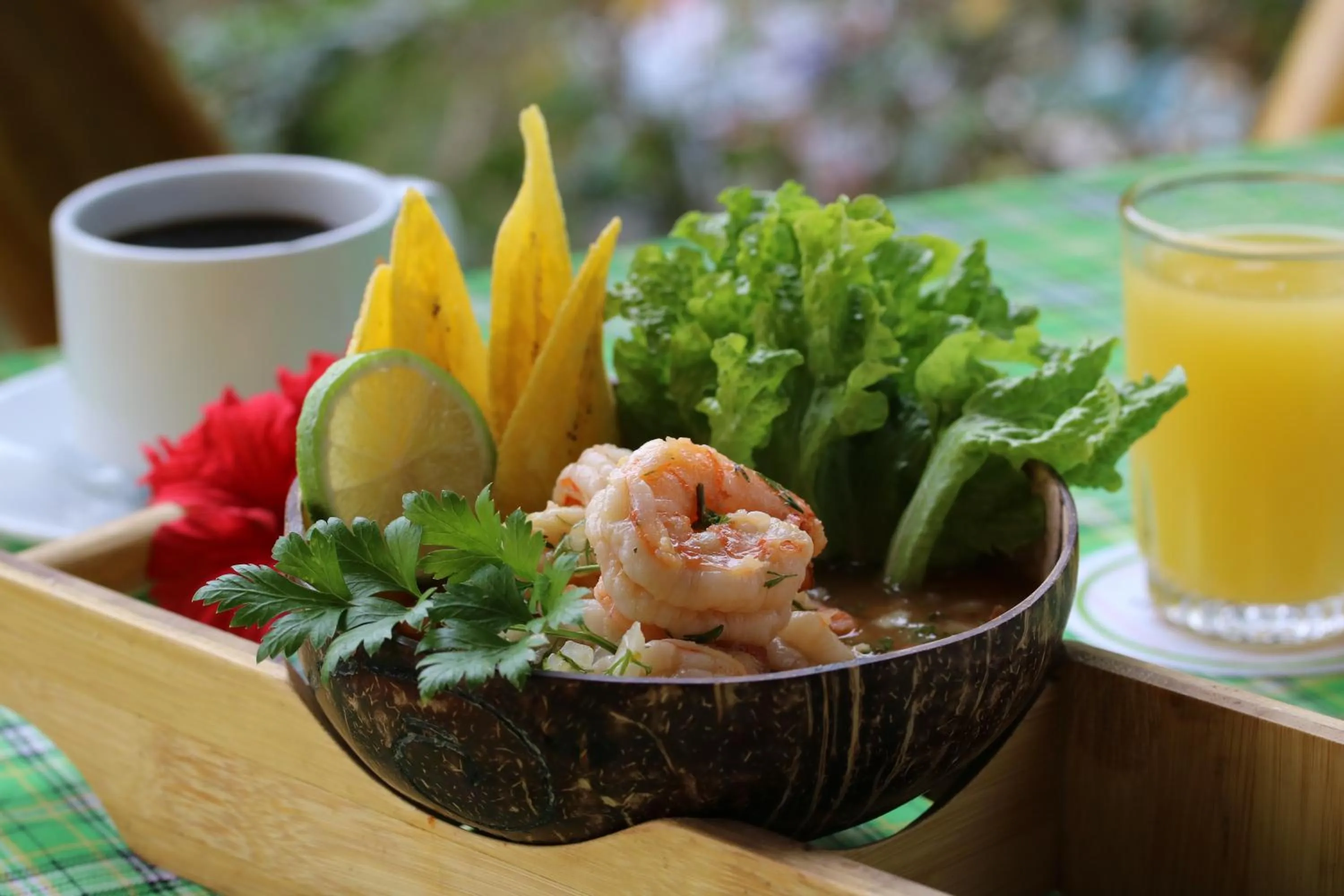 Food and drinks in Nativa Bambu Ecolodge