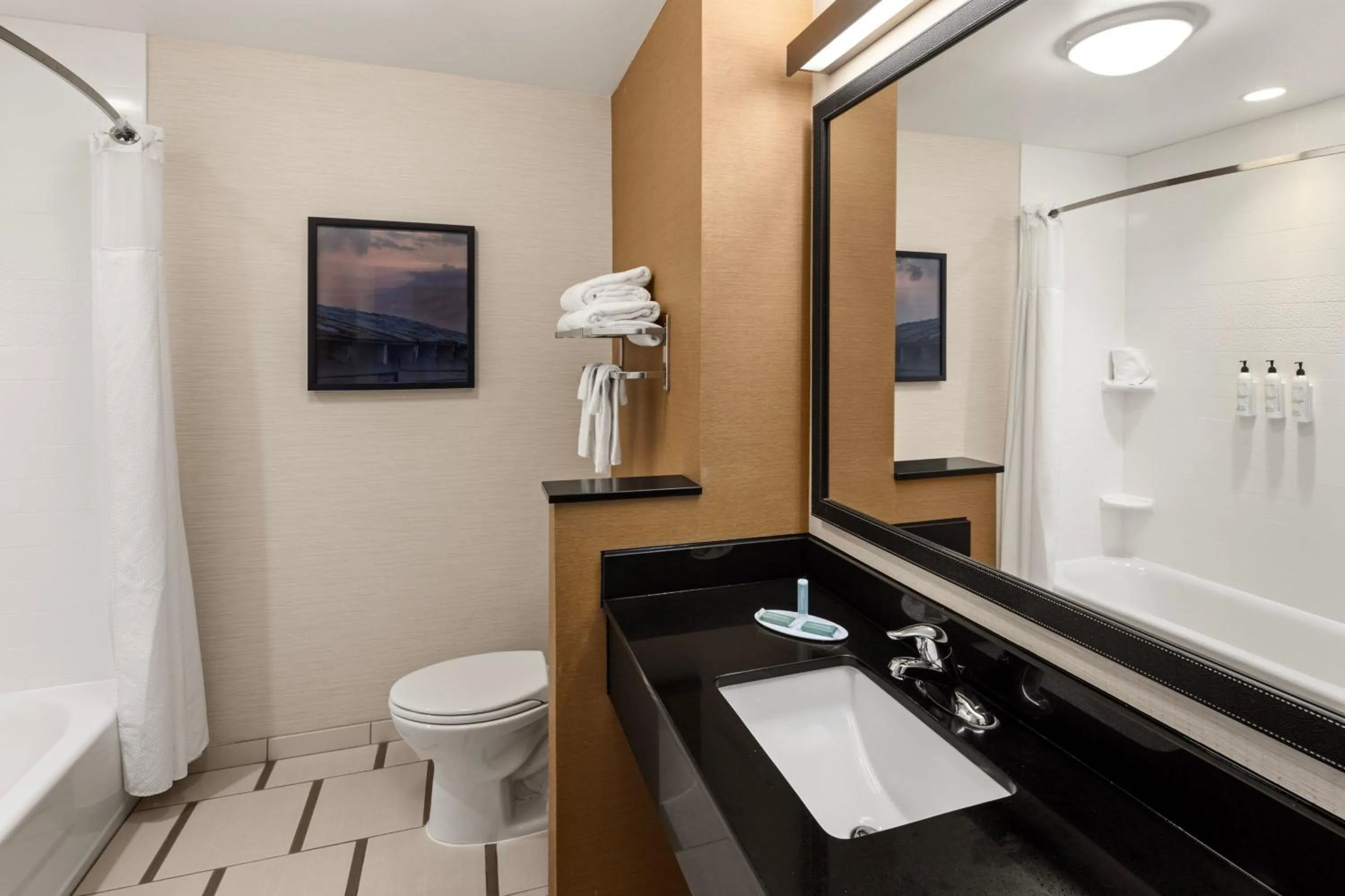 Bathroom in Fairfield Inn & Suites by Marriott Waterloo Cedar Falls