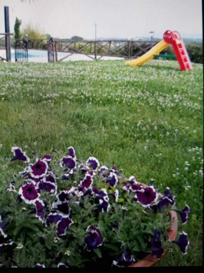 Garden in Fontebella