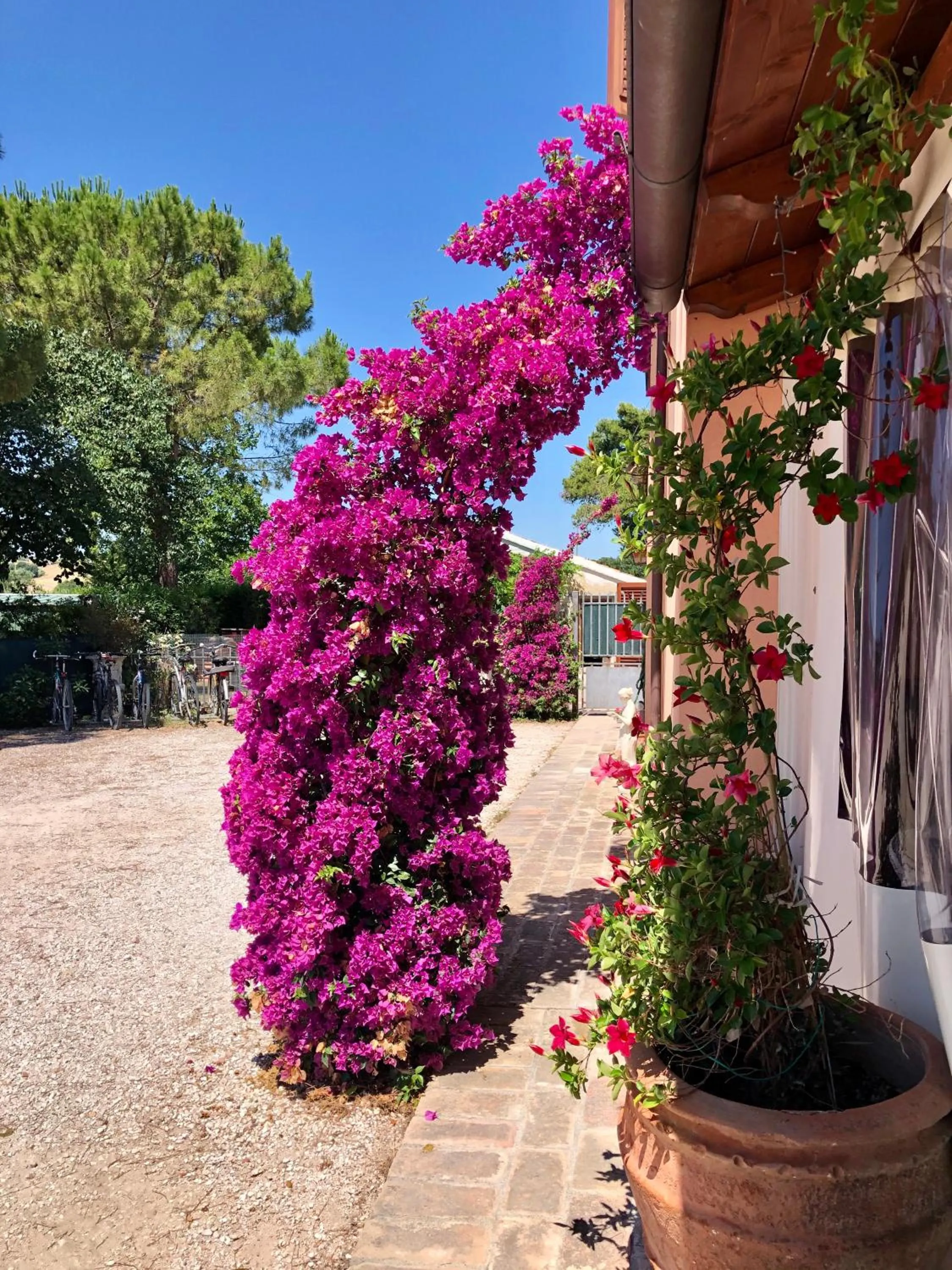 Garden view in Fontebella
