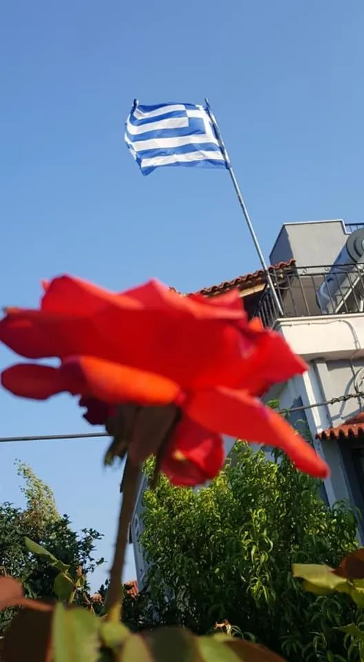 Decorative detail in Anthis Studios